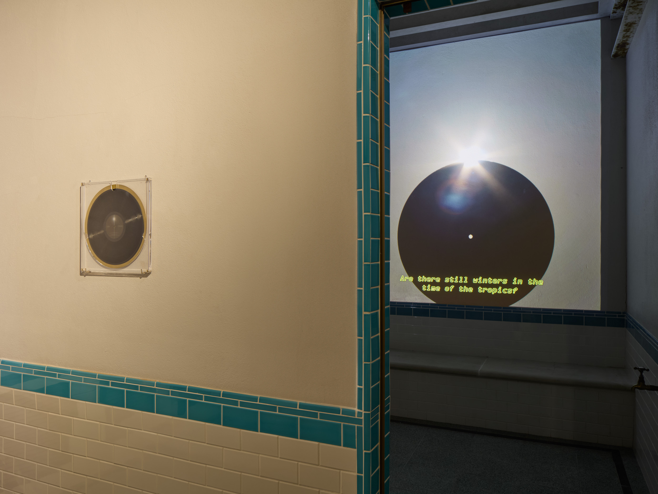 Installation view: A.I Gallery (UK)