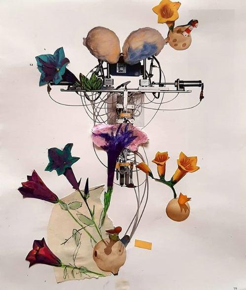 ardilla.padilla.collage