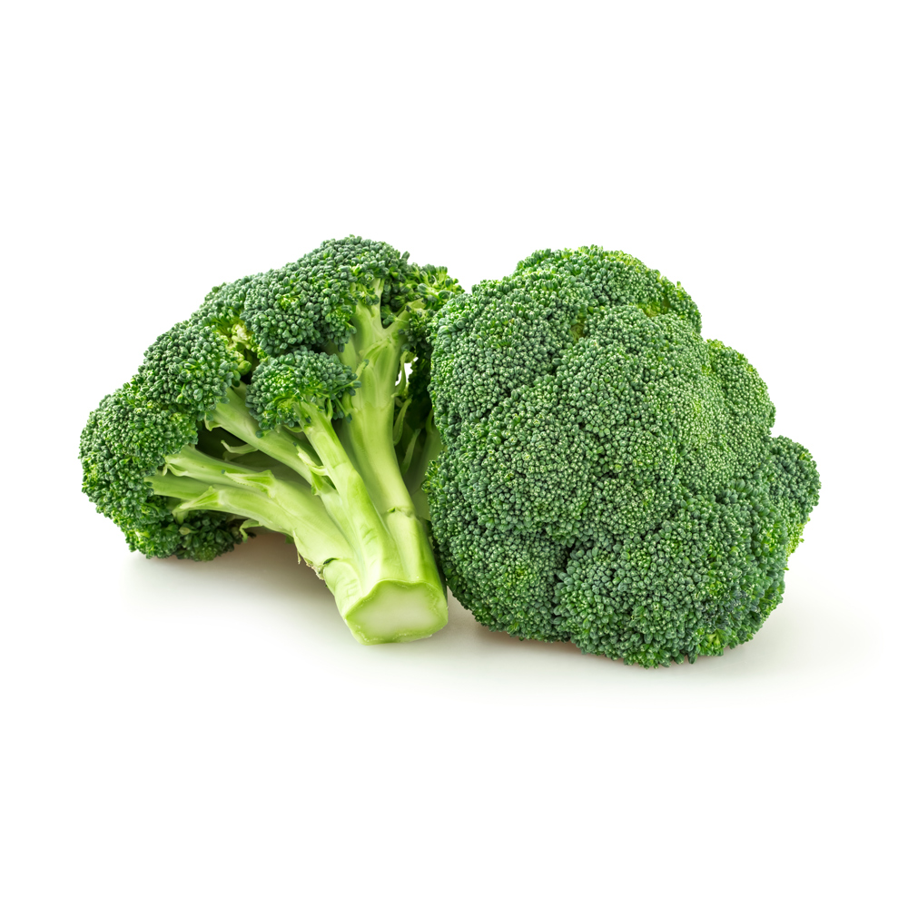Two pieces of broccoli on white background