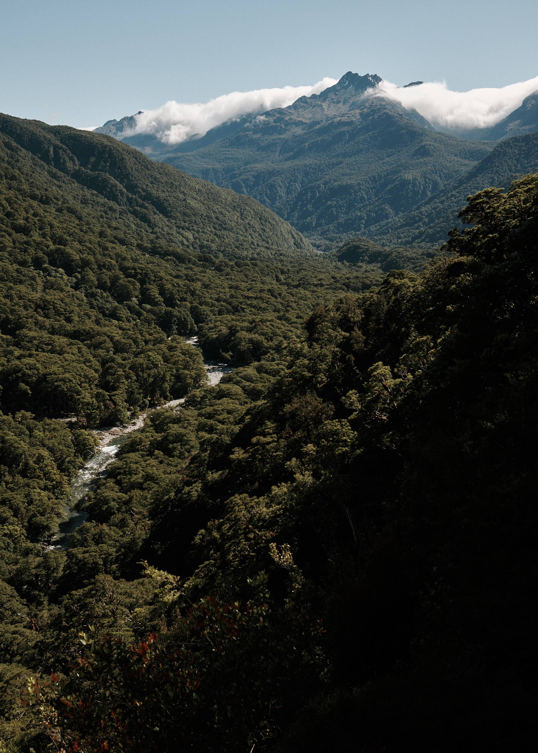 Home Land (in progress)