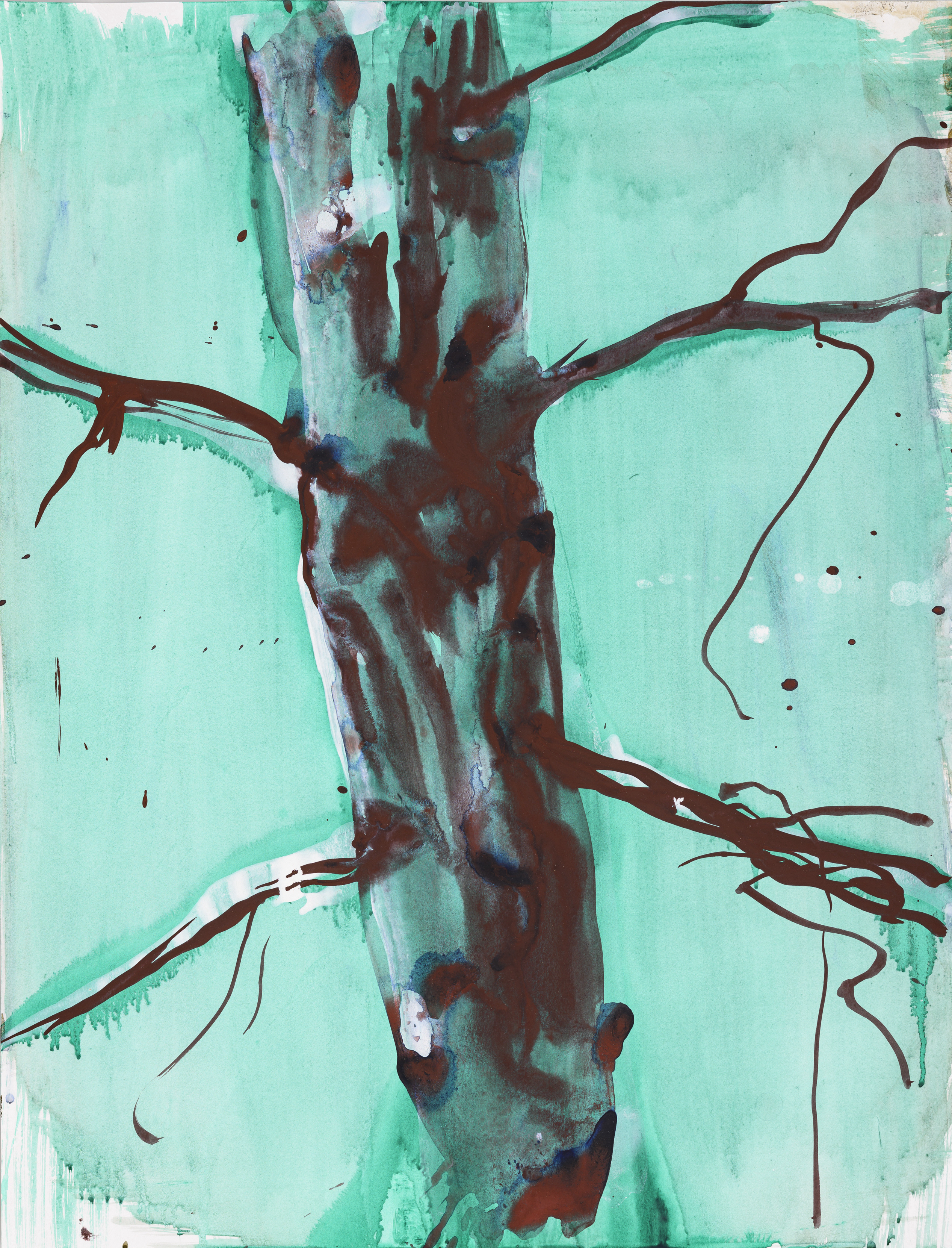 Study of nature 2006Acrylic on paper 65×50cm