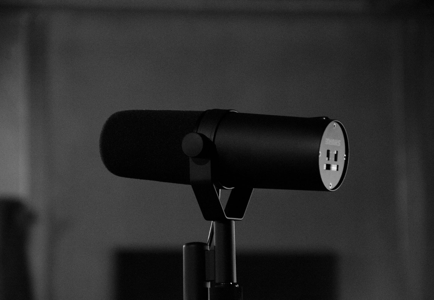 MIC CHECK, ONE TWO, ONE TWO  von Sebastian Galli