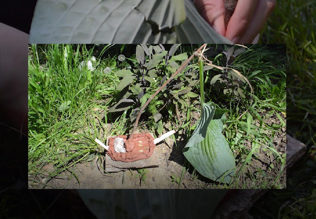 Laurine Wagner - Nos lieux de vie - vidéo - 2021