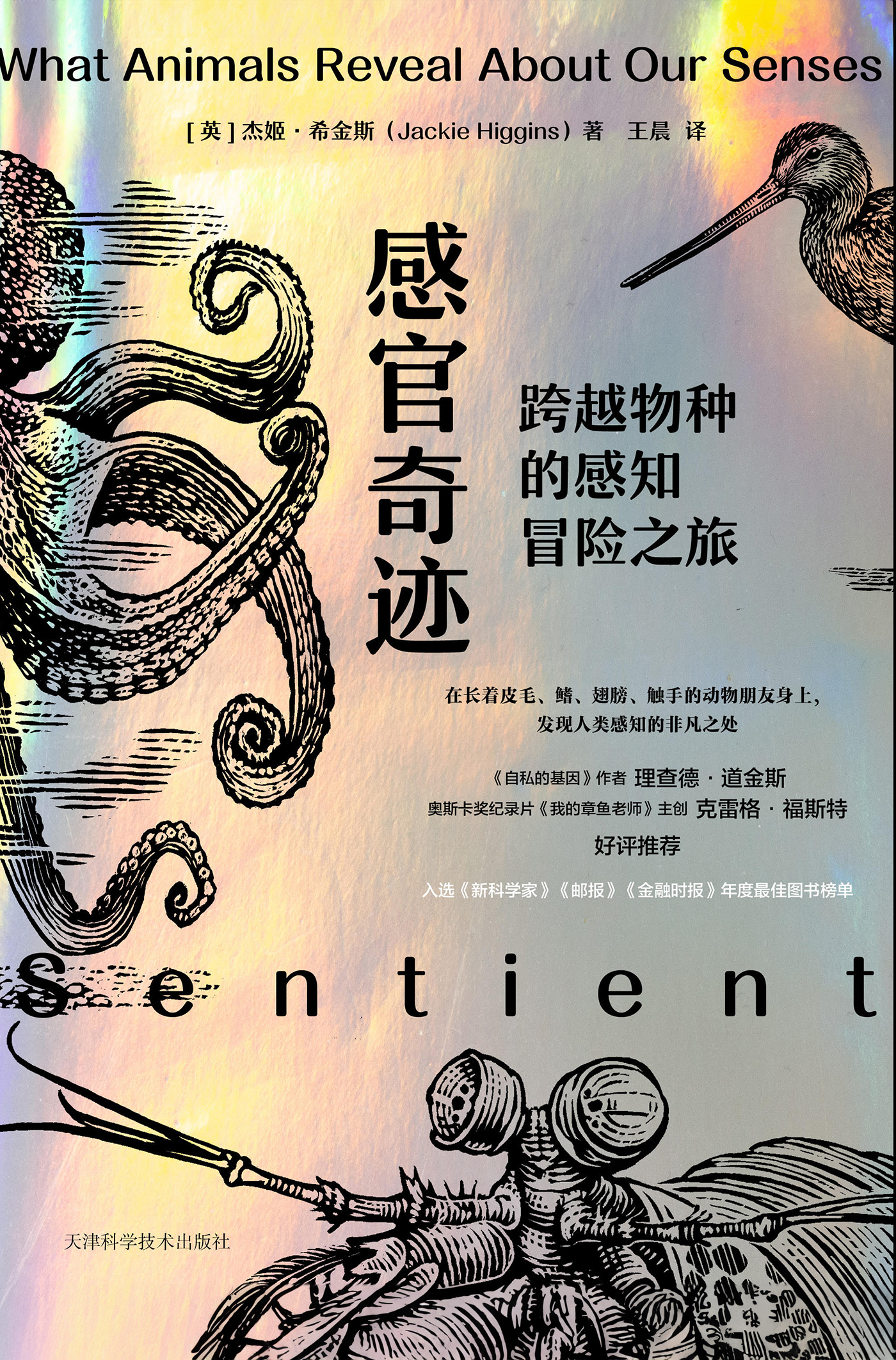  	︎ Shop Sentient (China), soon