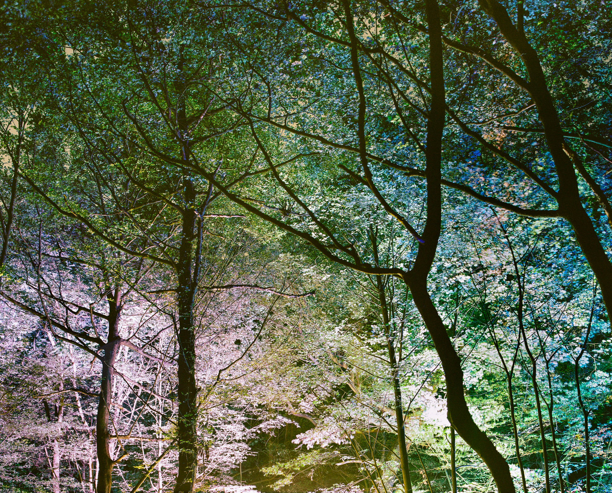 Fête de la musique, juin 2022