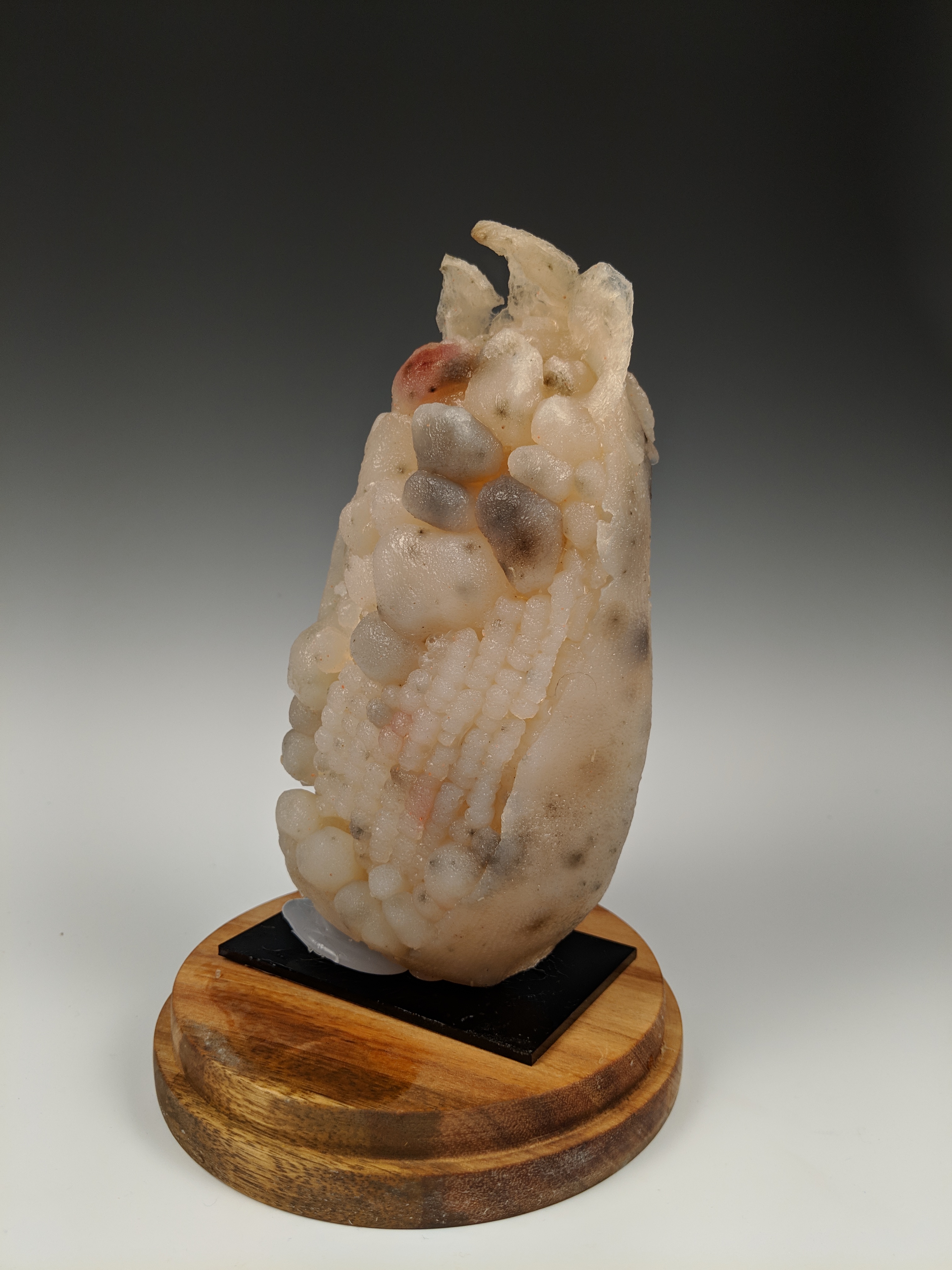 Huitlacoche Petri Dish, 2018