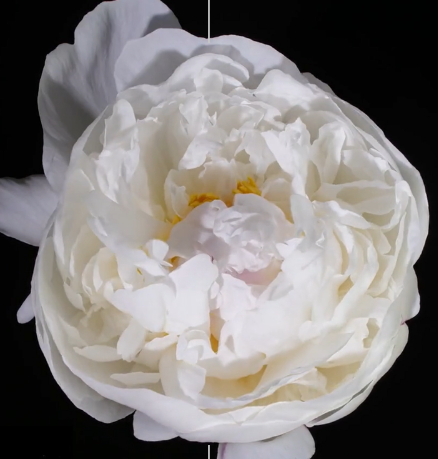 A LIMINAL SPACE OF THE COSMOS