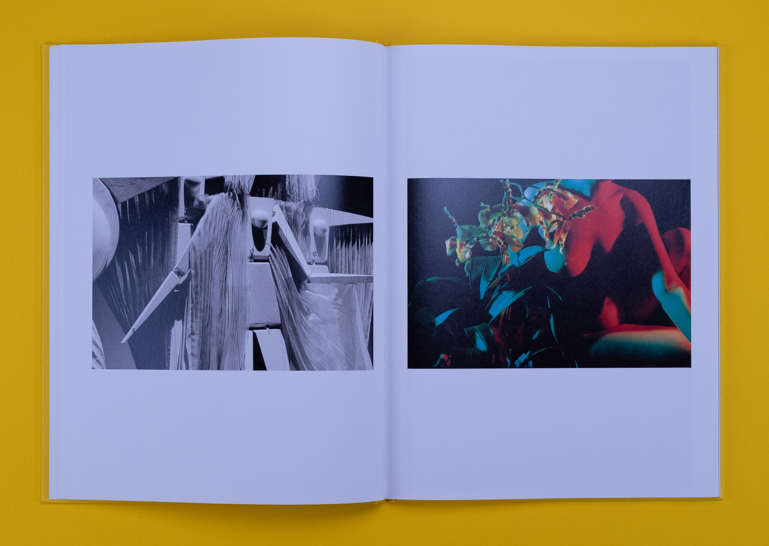 Camille Vivier, Twist (Art Paper Editions)