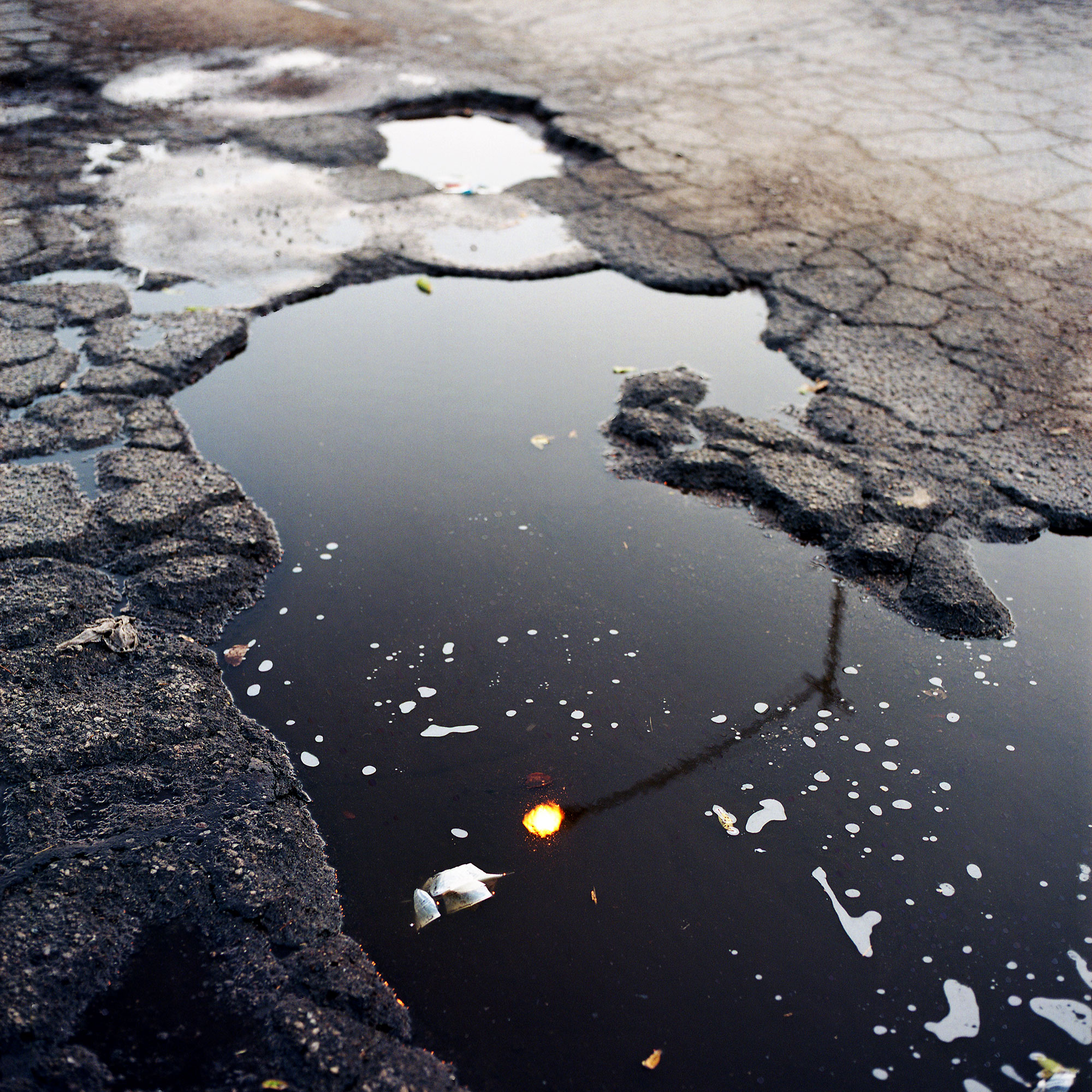 Moonlight, Los Angeles, CA, 2017