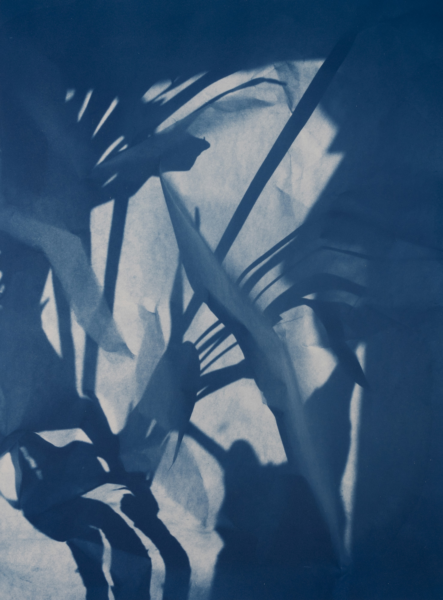 Sun fused to the blue — 19 x 26 in — Cyanotype on Arches hot press watercolor paper