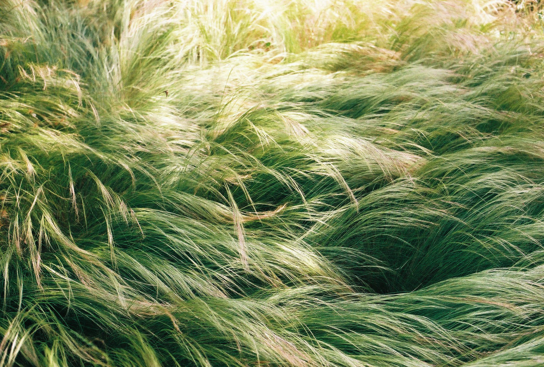 Montpellier, France, 2018.