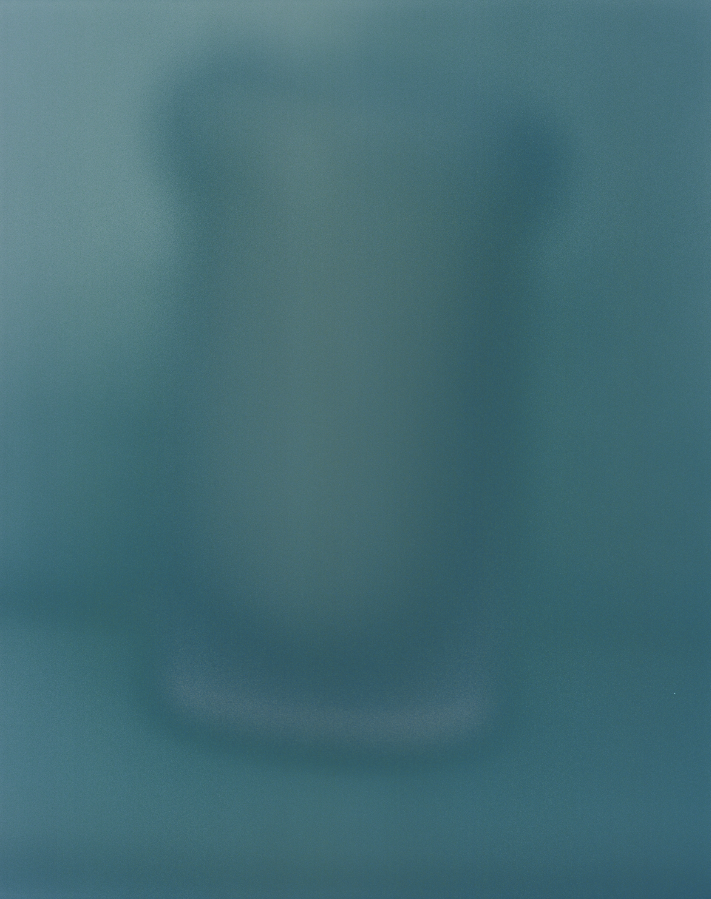 Bildnis| 100x80 cm | Unique work | 2024 |  Private collection