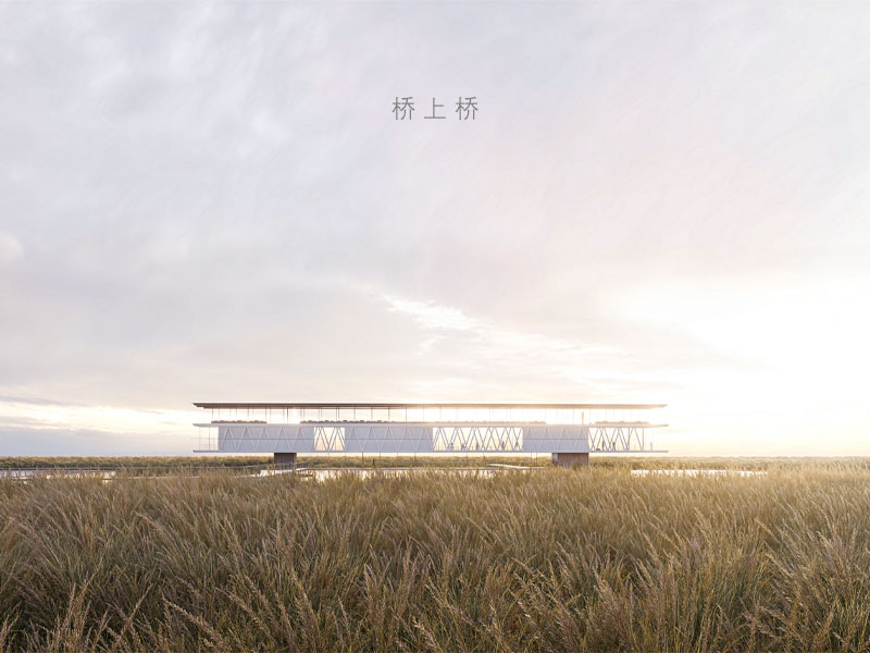 桥上桥(碱蓬草湿地小型游客中心设计)二年级