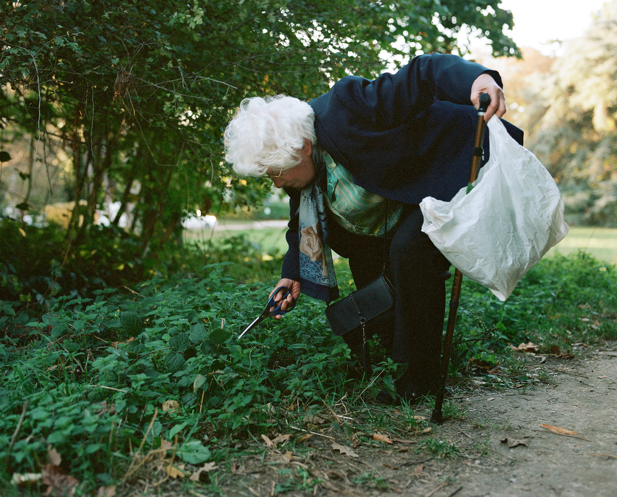 Une parisienne cueille des orties pour en faire de la soupe et accompagner ses pommes de terre, pendant que son mari l'attend dans la voiture, octobre 2022