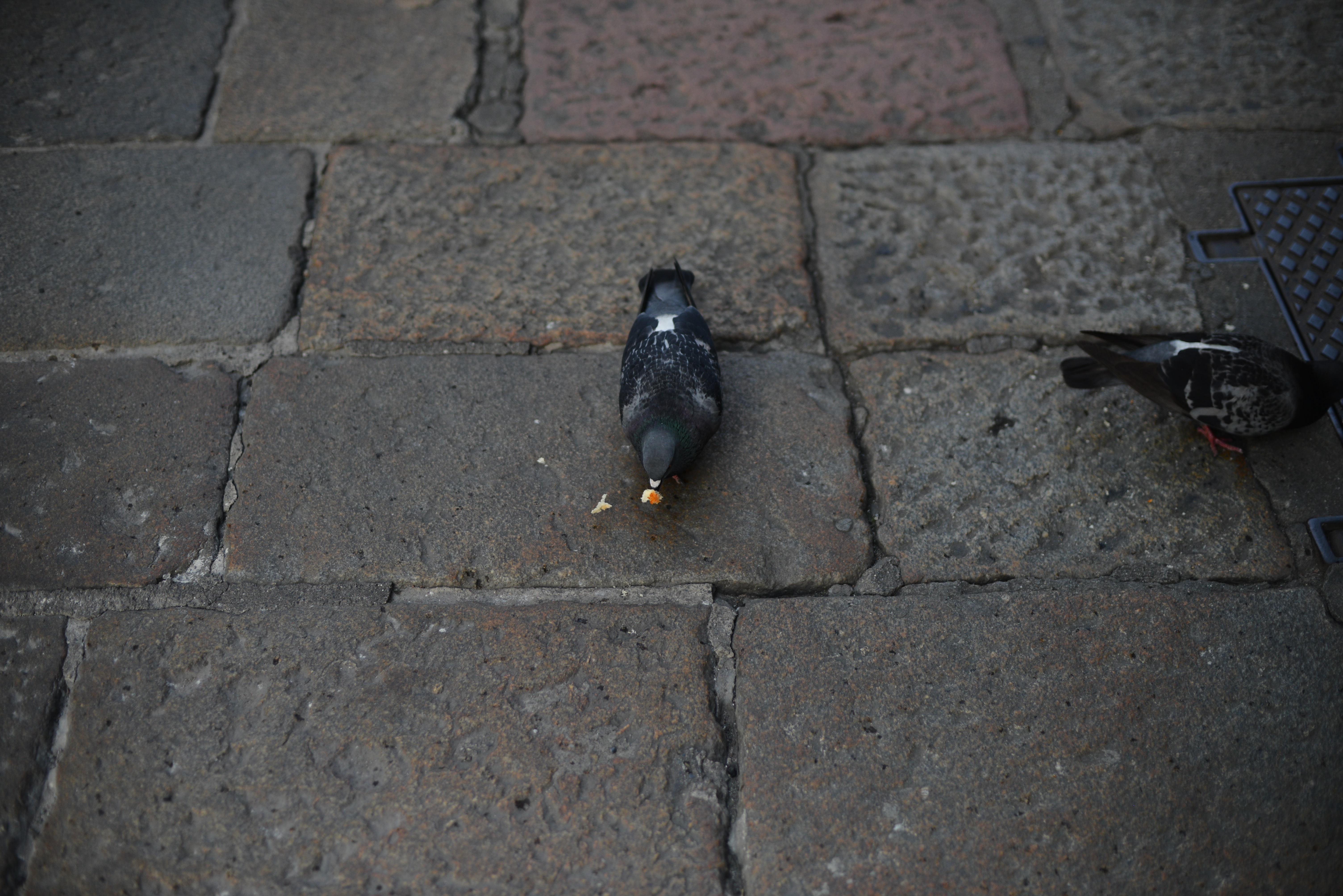 Divisione dell'eredit&agrave;