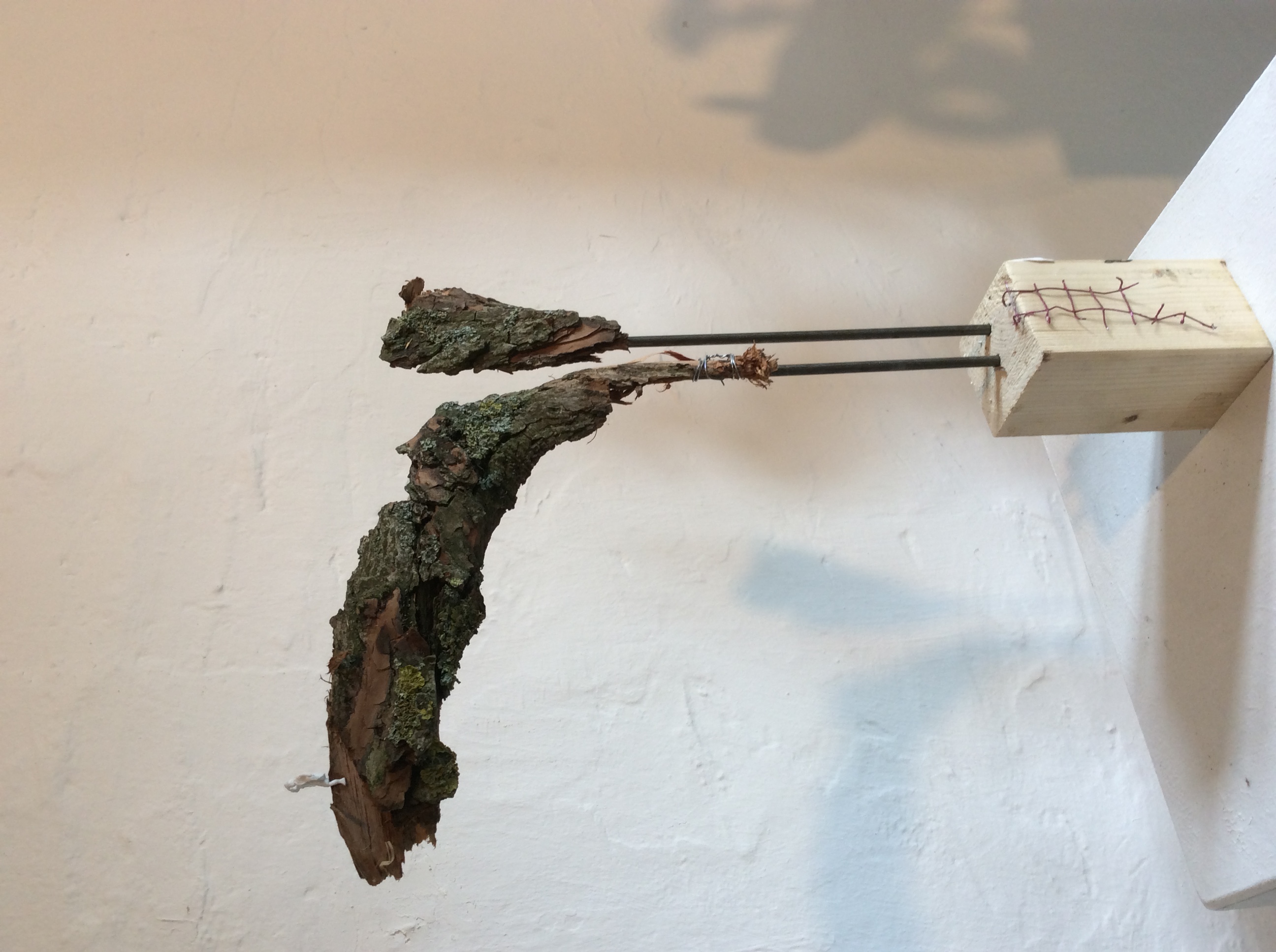 Part of nature 2, Boomschors en acrylfiguur, 2019