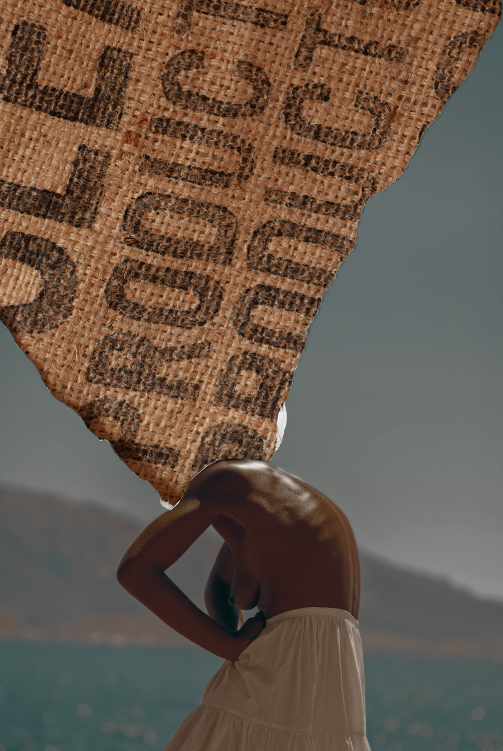 “ The Product ” ︎2'800€