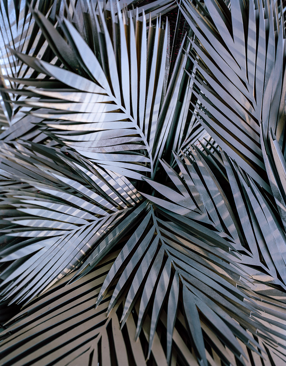 «PALME» 2018, Fotografie, Pigmentprint auf Hahnemühlepapier, 179 x 140 cm