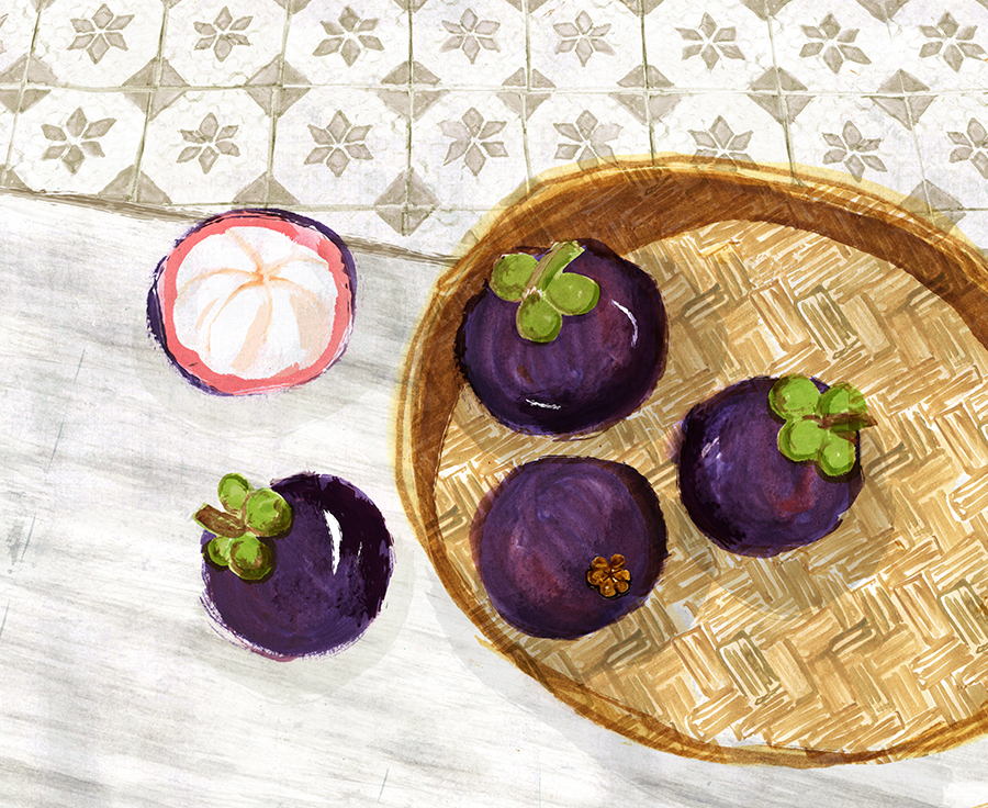 Singapore Sketches, Mangosteen, illustration