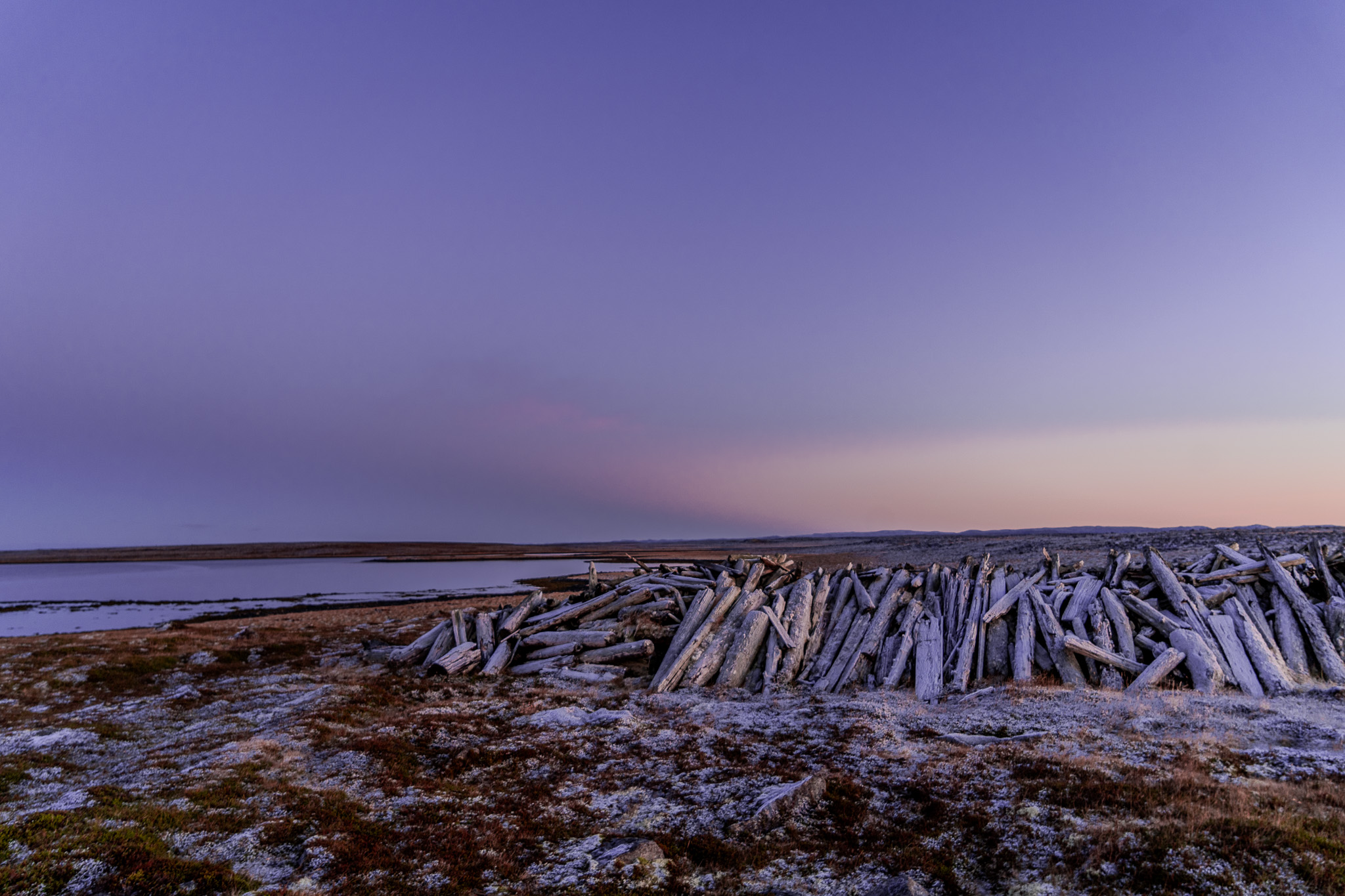 "Driftwood from Sibiria"