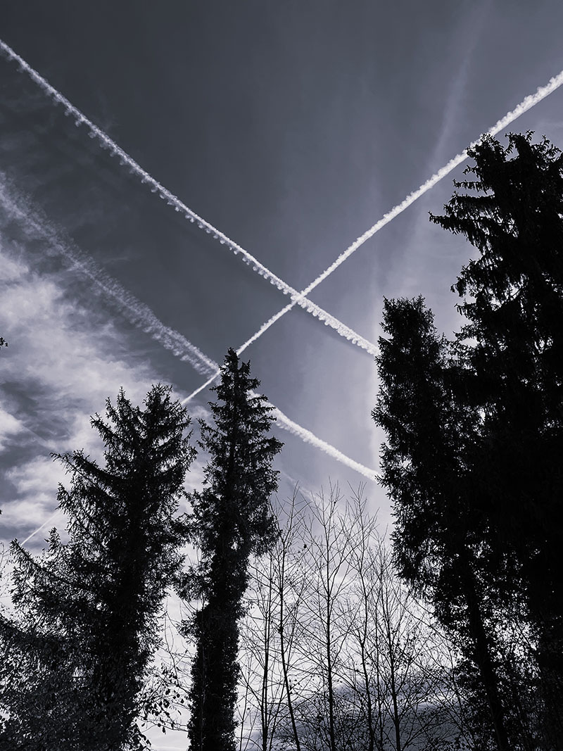 Jedes Brummen, jede Spur eines Flugzeugs lässt mich sehnsüchtig in den Himmel blicken: „Nimm mich mit!“