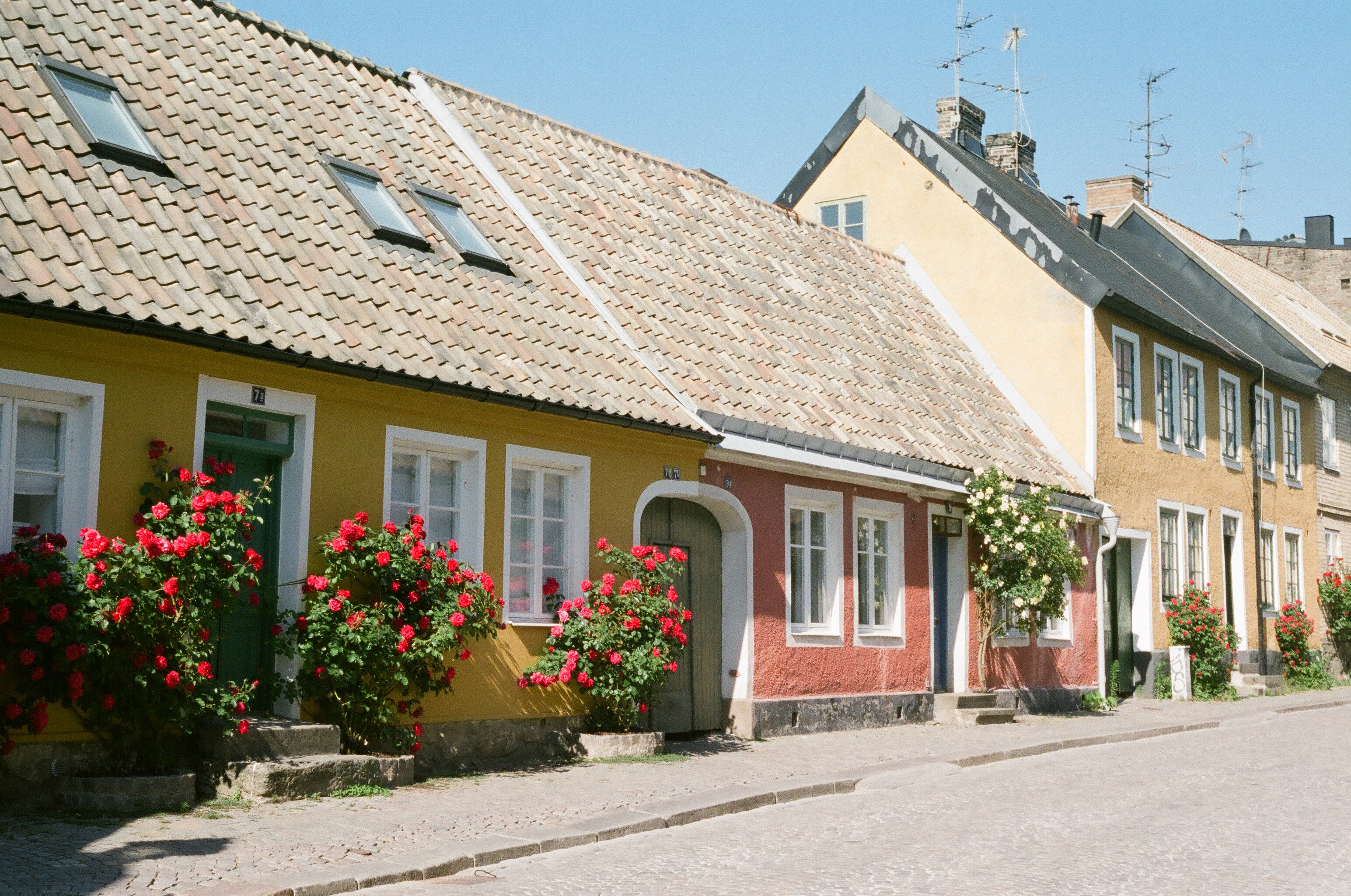 Lund, Sweden, 2018 , Canon ae-1 35mm