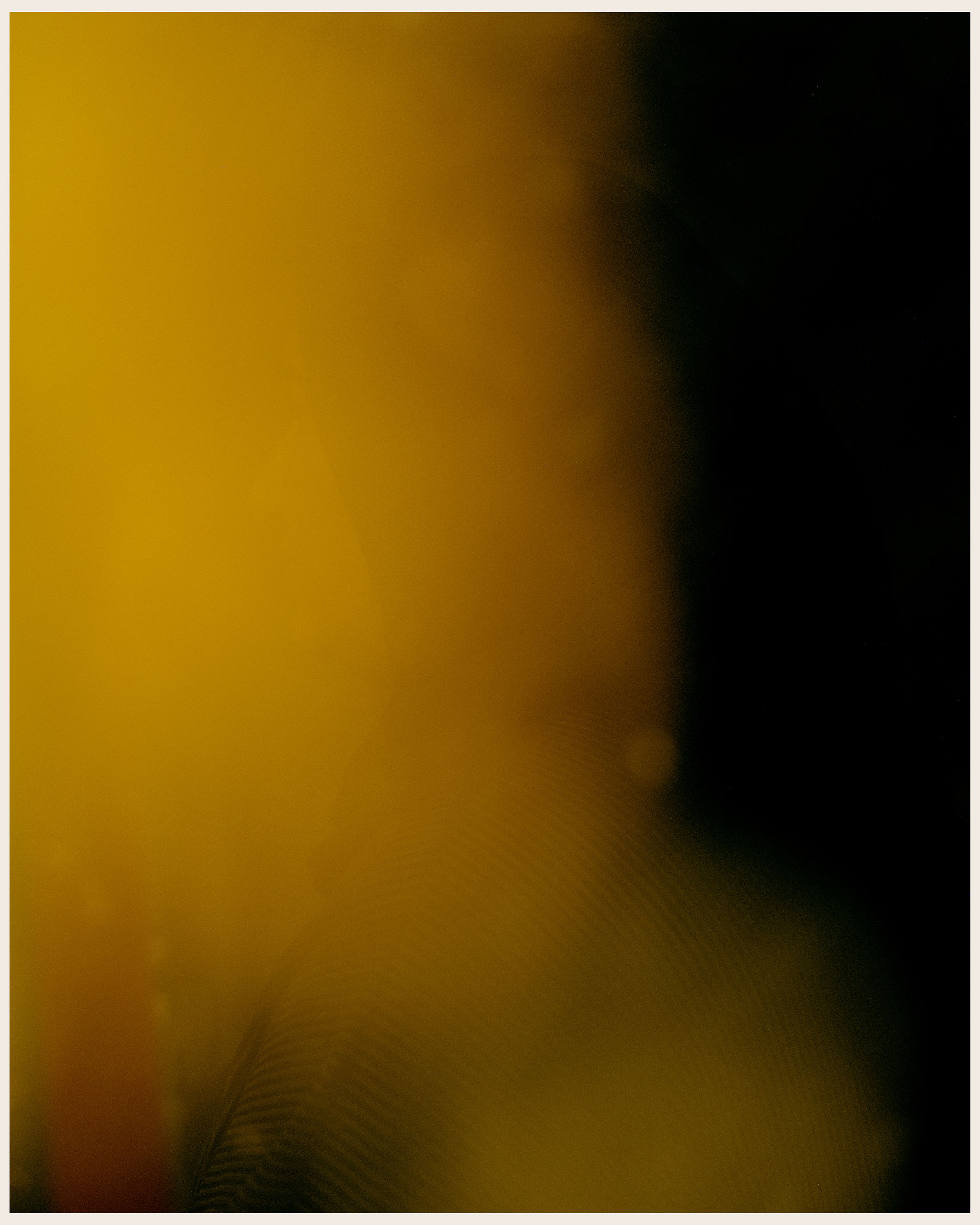 T. for Hyphen Online