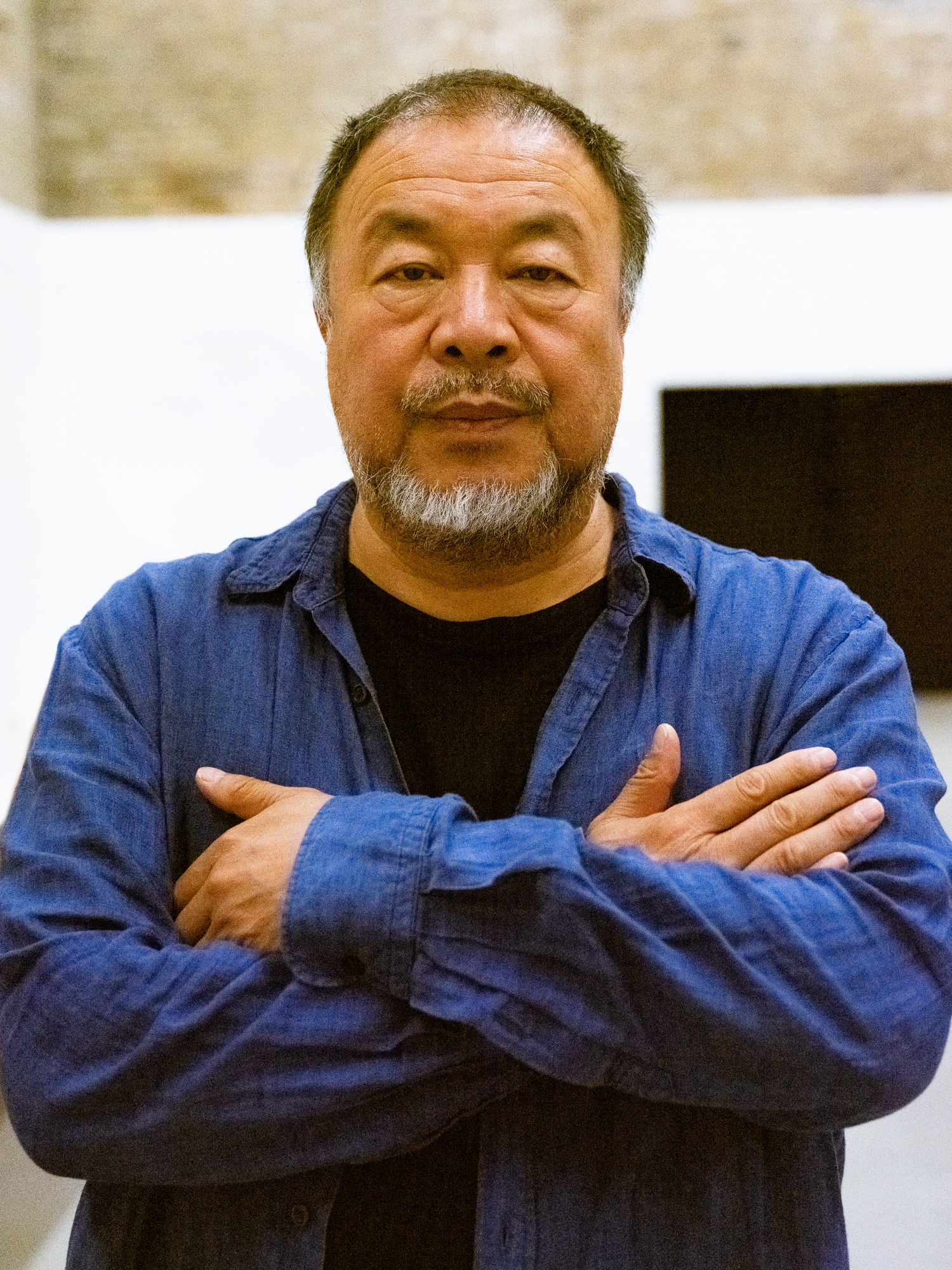 Ai Weiwei — Künstler