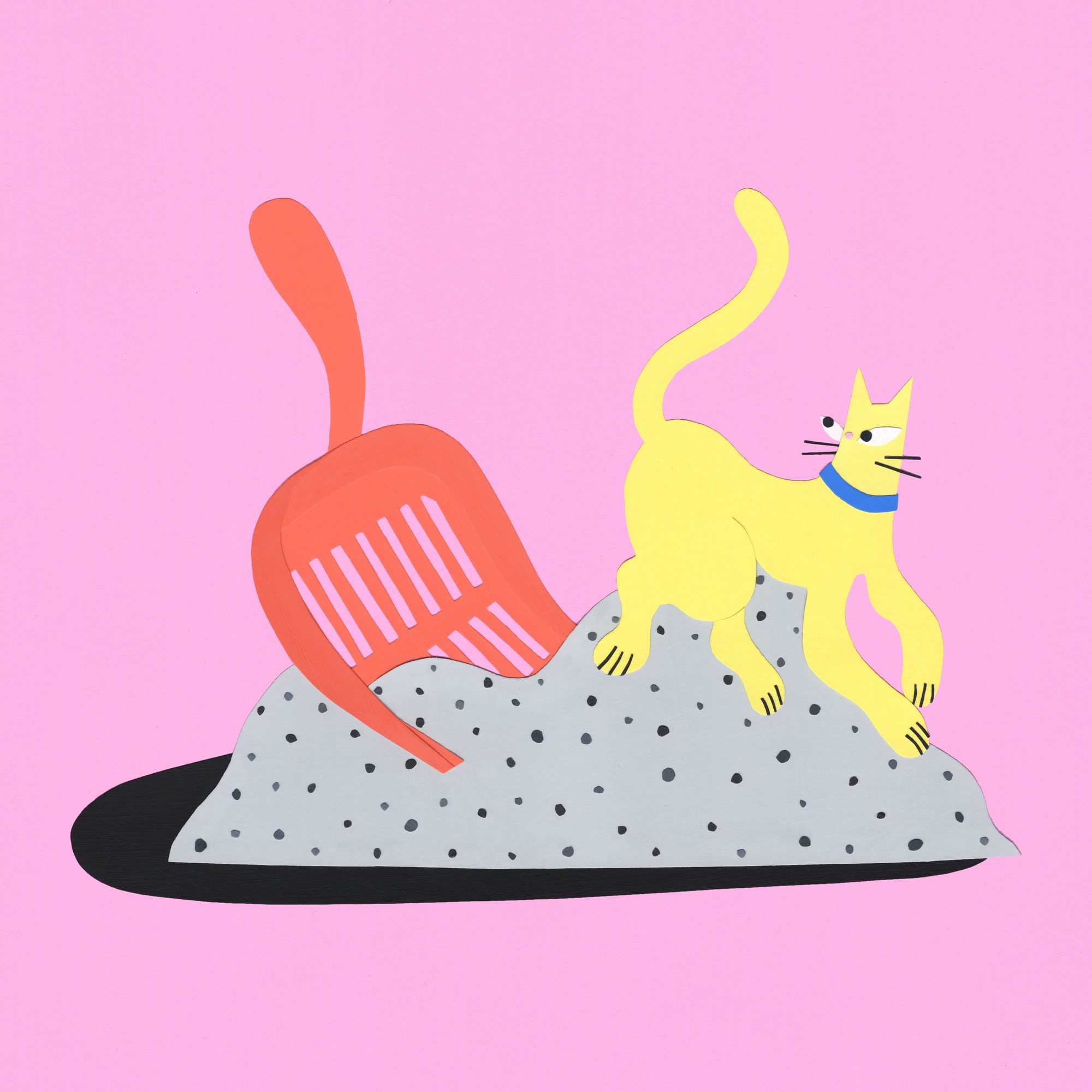 What Kind Of Cat Litter Is Best for the Planet?