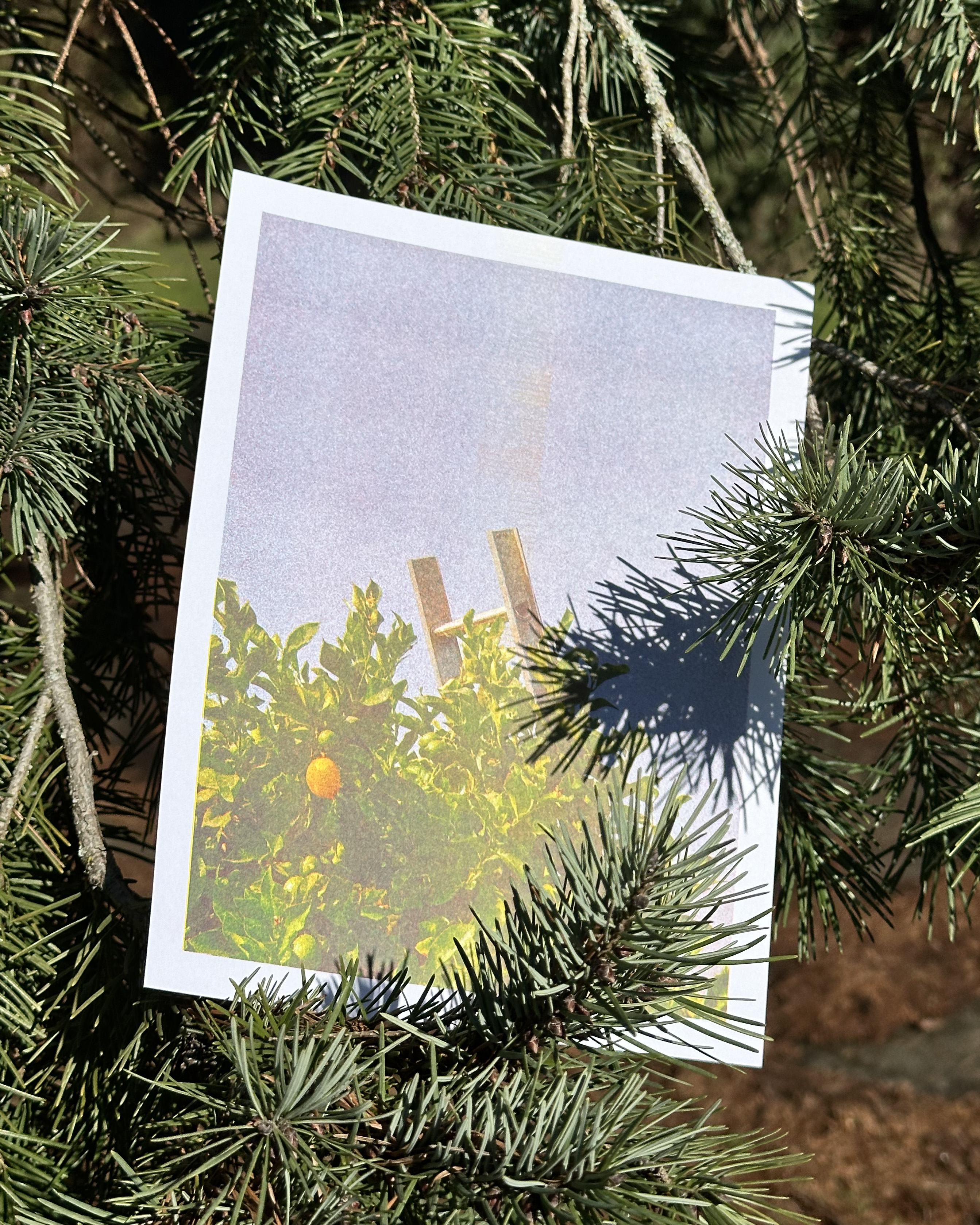 Lemon + ladder riso print on letter paper. $8.99