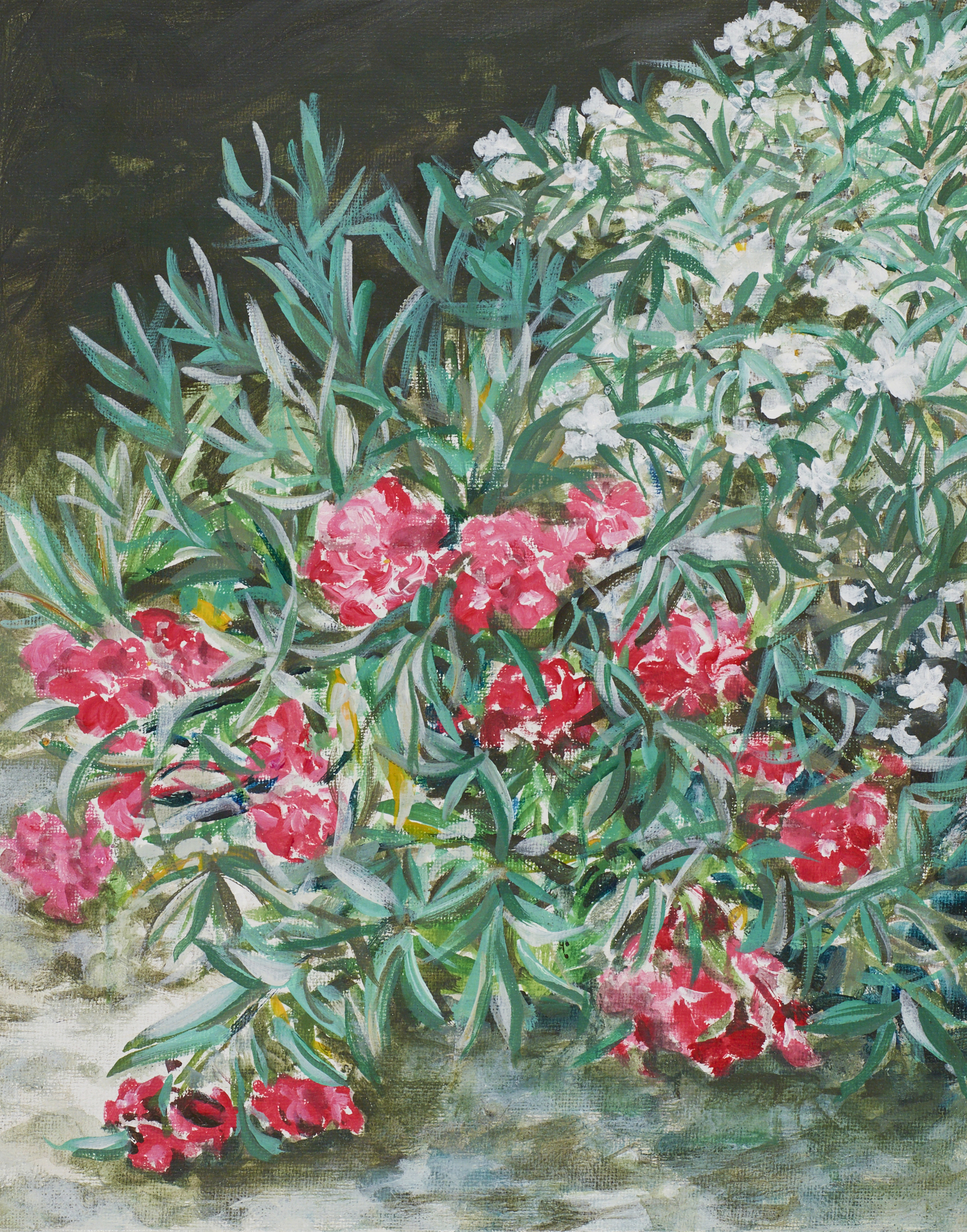 24×30 cm
