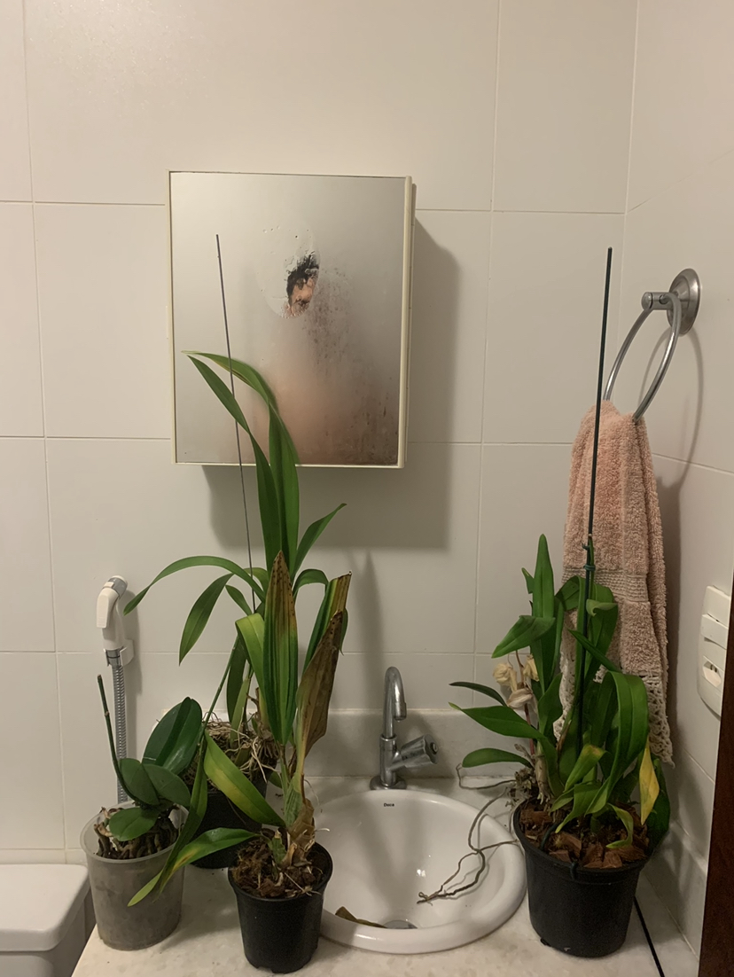 Composição dupla com espelhos, 2021