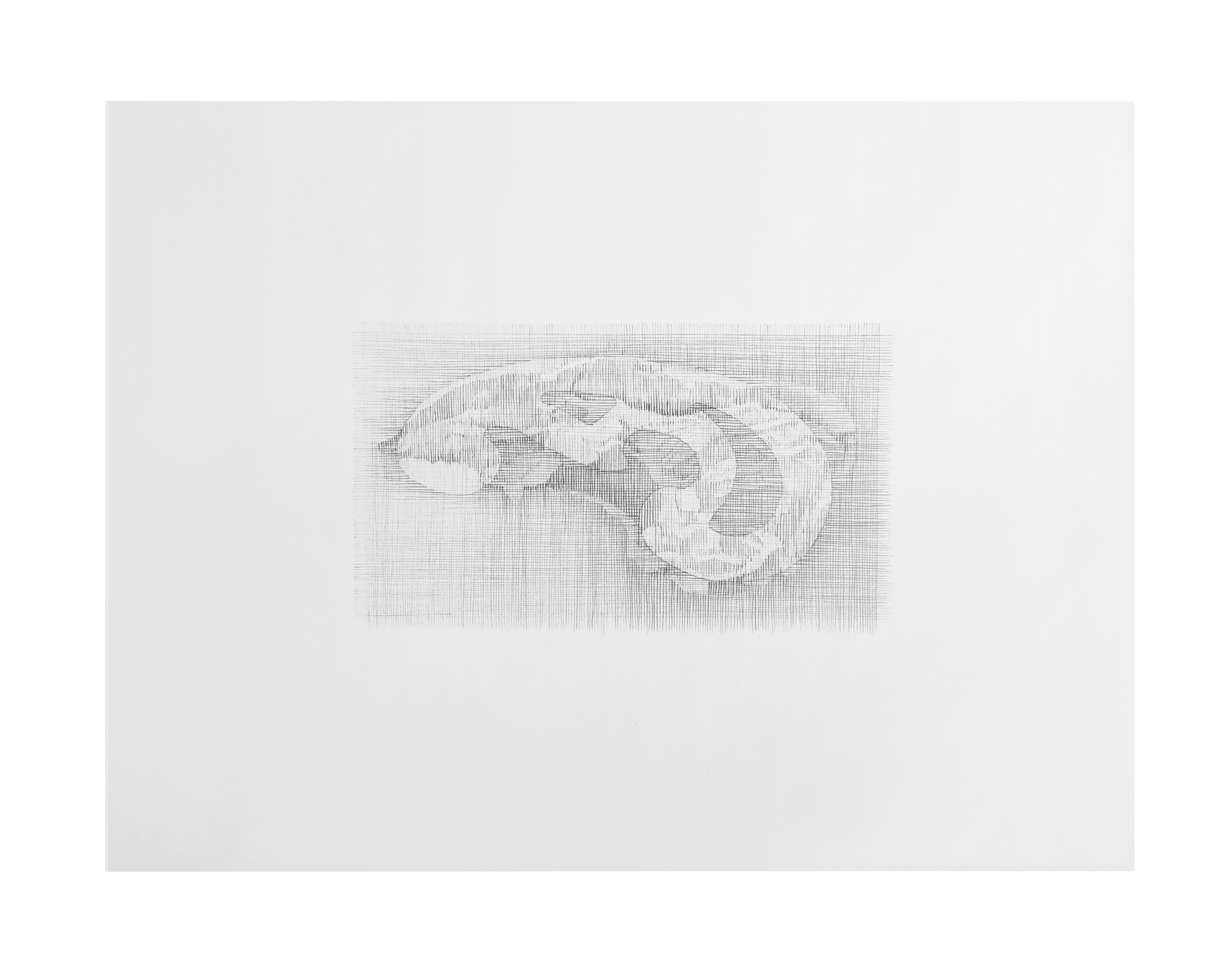 Tri-Tip Curve, 2017, graphite on paper, 17.75 x 21 in