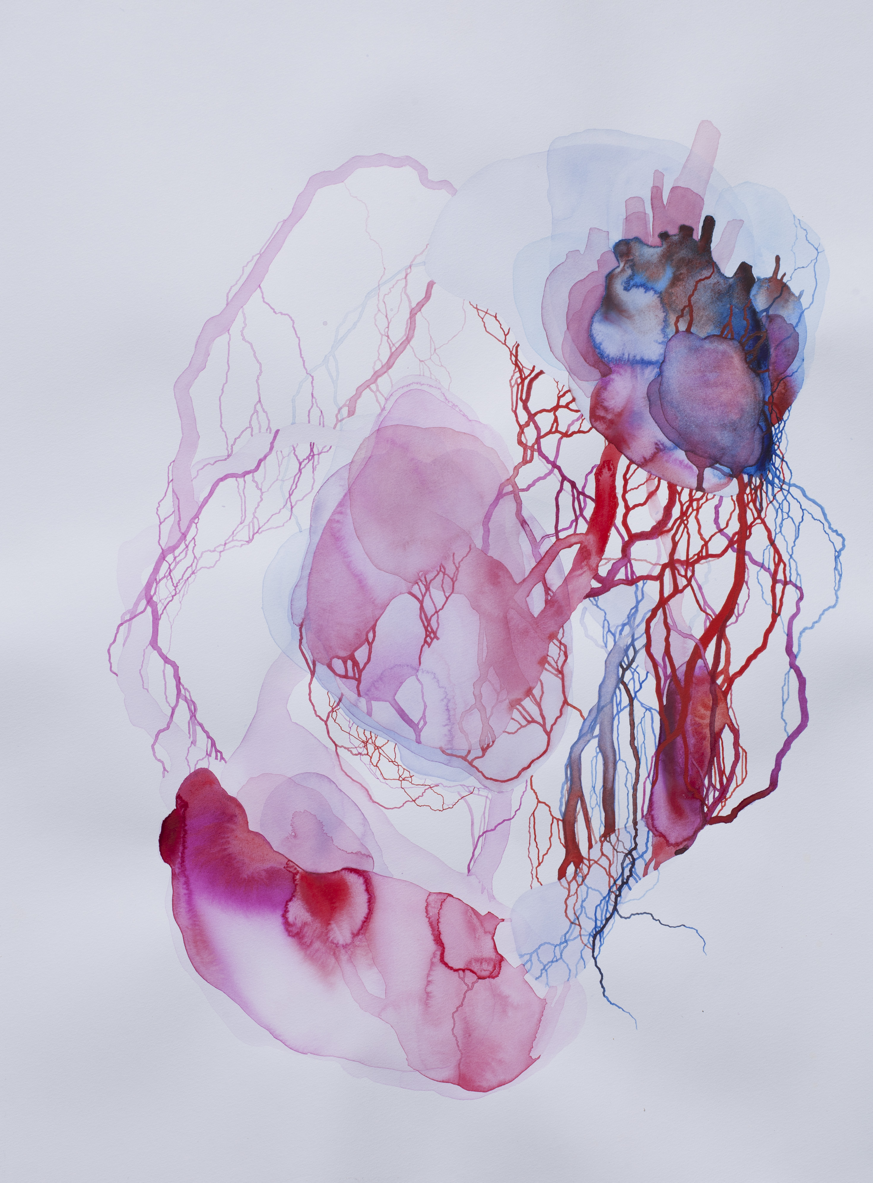 "Entraille f" (aquarelle, 59x80cm, f&eacute;vrier 2025)