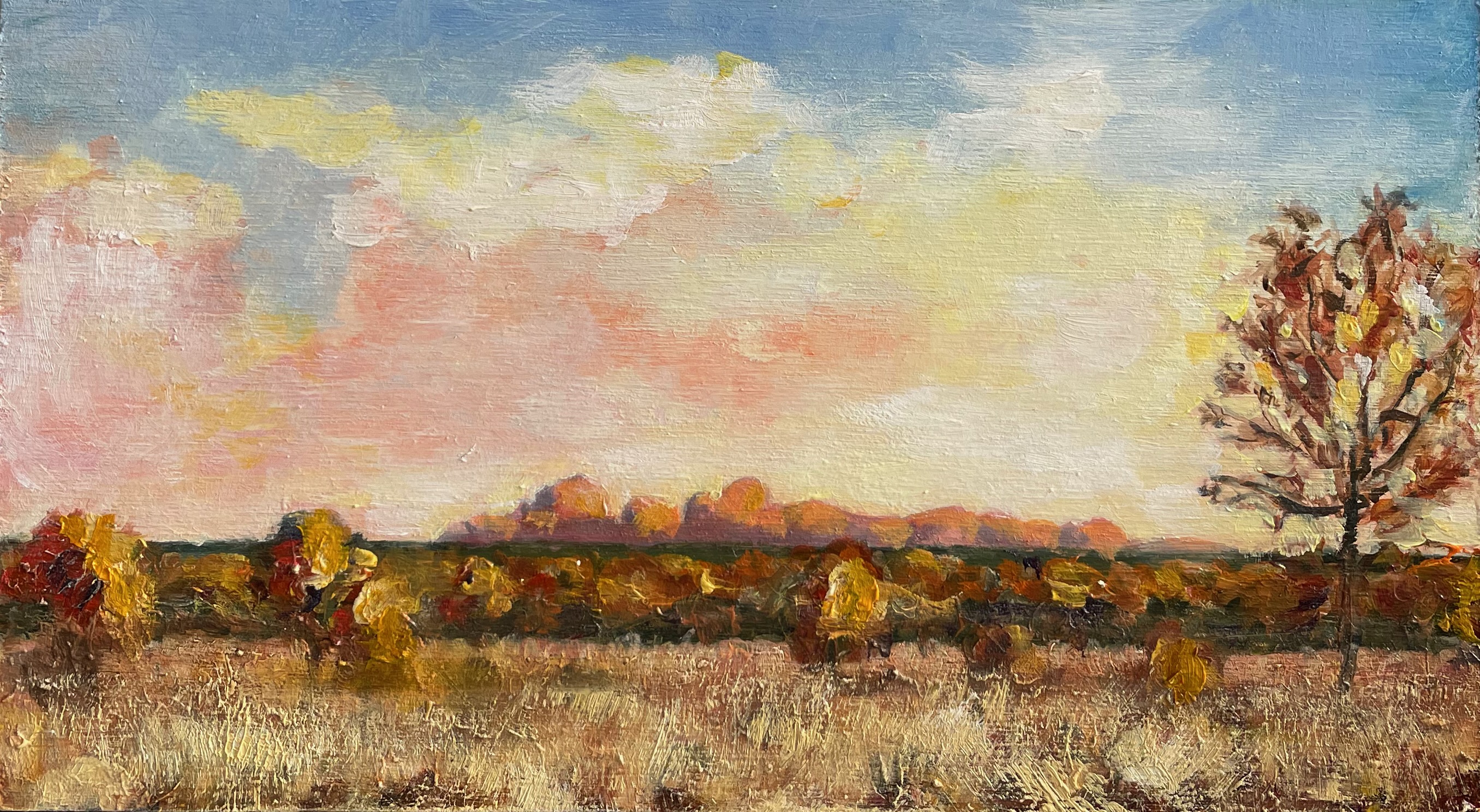 Kata Tjuta from Uluru