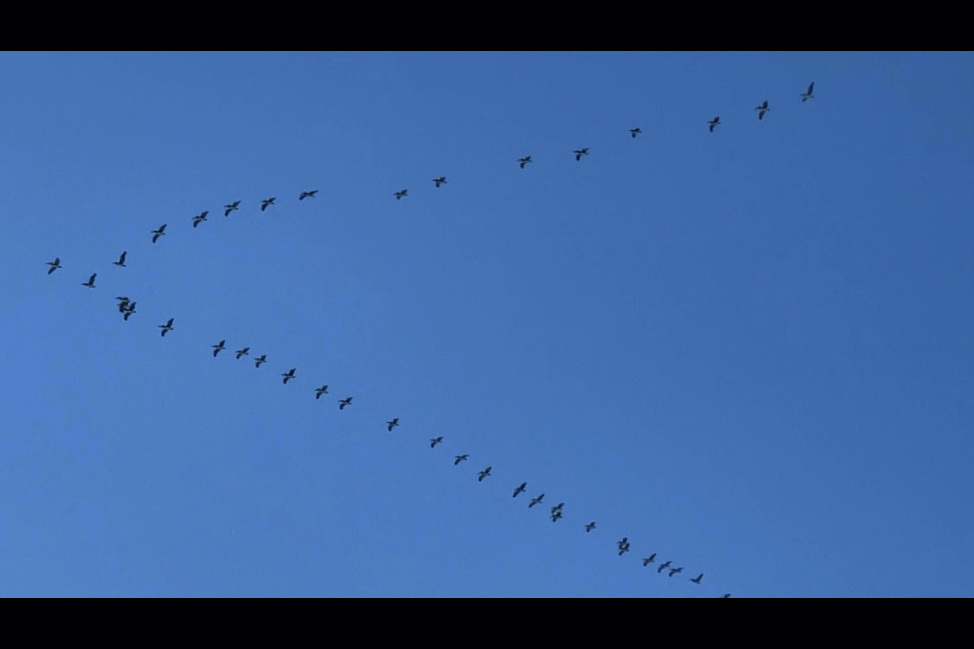 A Vernacular of the Numinous by M Freeman