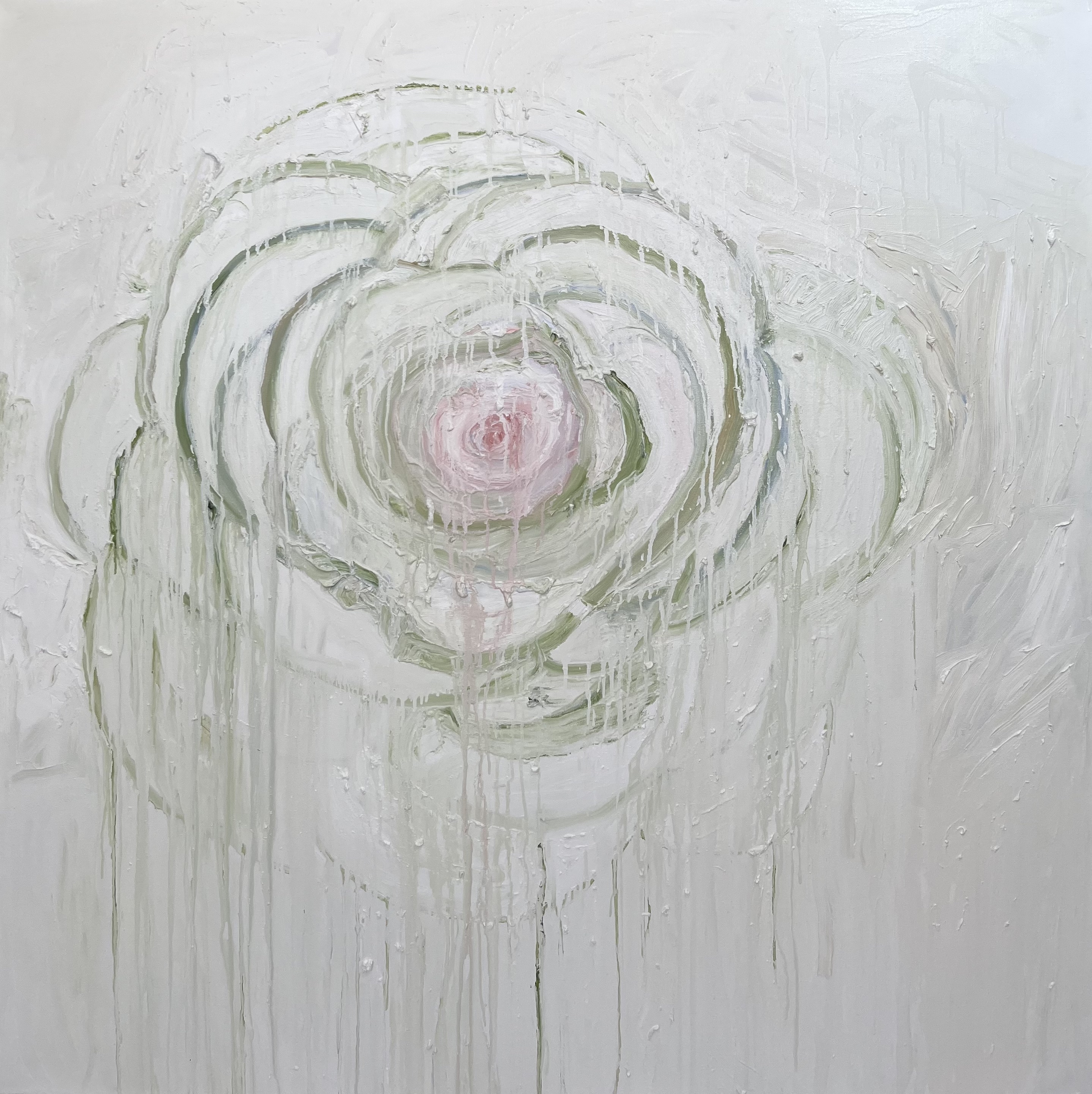 Rain camellia with pink, 2022, oil on canvas, 48"x48" in