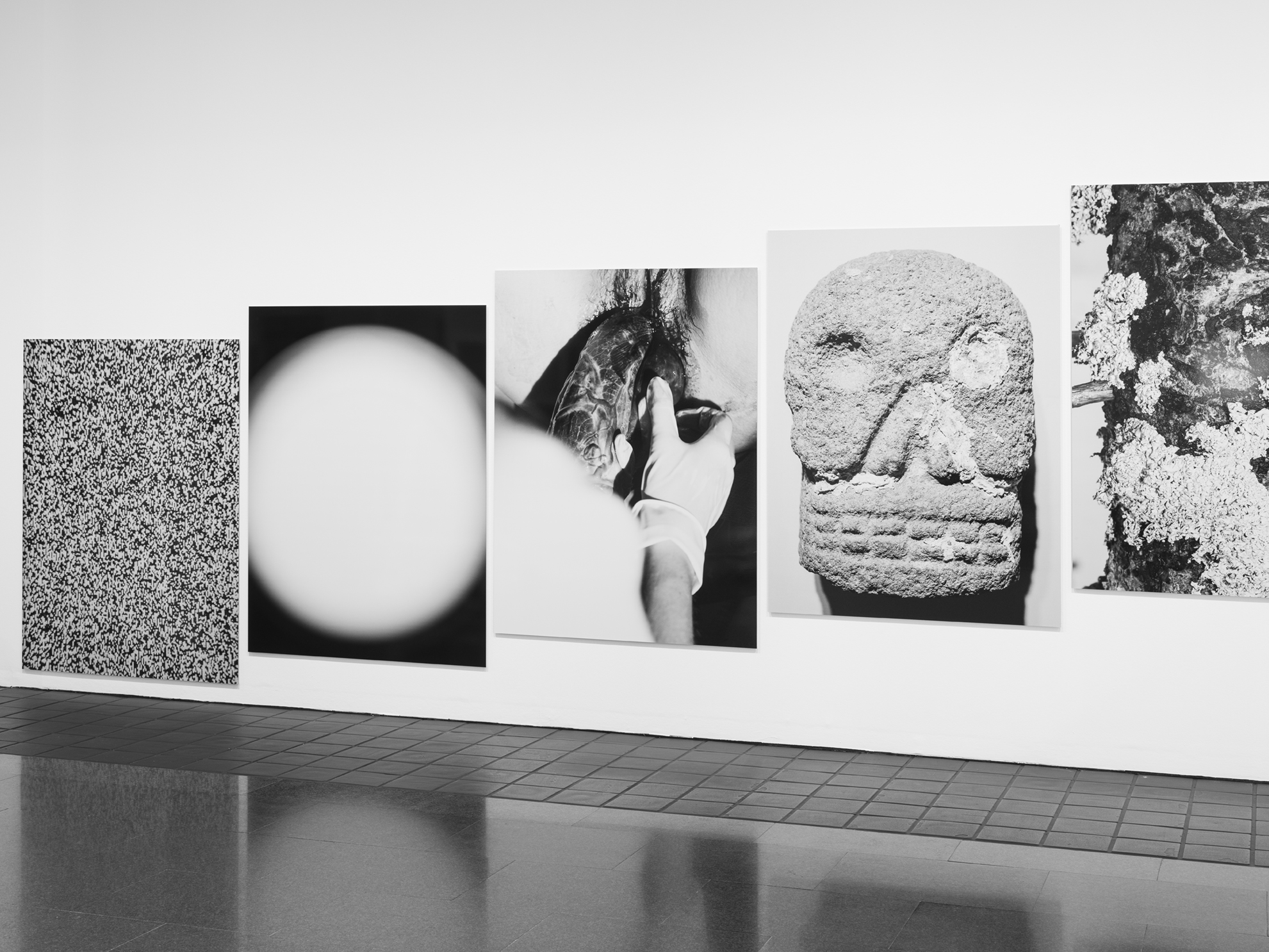 Matter. MACBA. Museu d'Art Contemporàni de Barcelona. November 2021