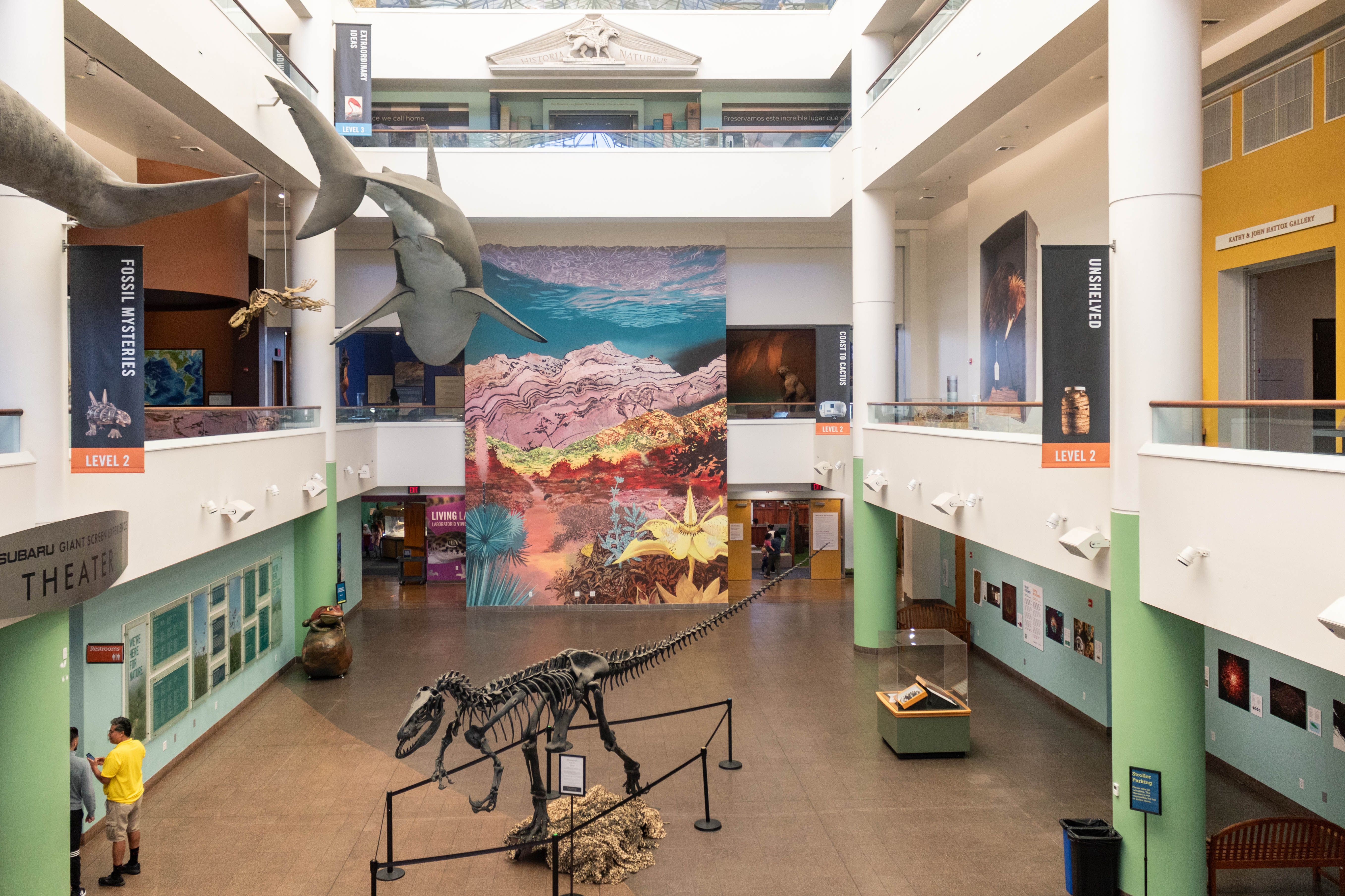 Frasera, Permanent Mural, 20"x30" San Diego Museum of Natural History, San Diego, CA, 2023