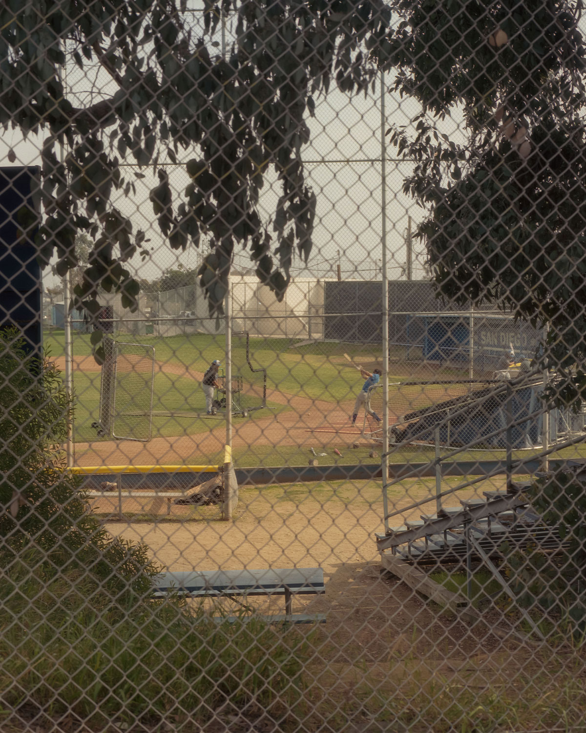 Alan Nakkash, Springtime in San Diego, Color Negative Film, 2019