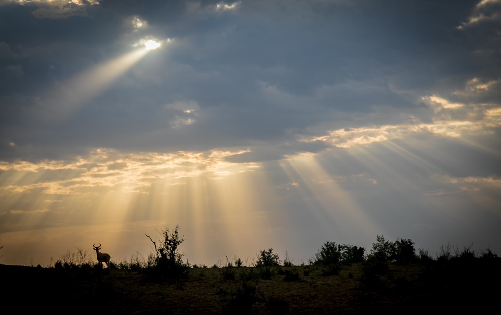 "The last sun rays defiantly stab through the clouds onto the last pristine no men's land"
