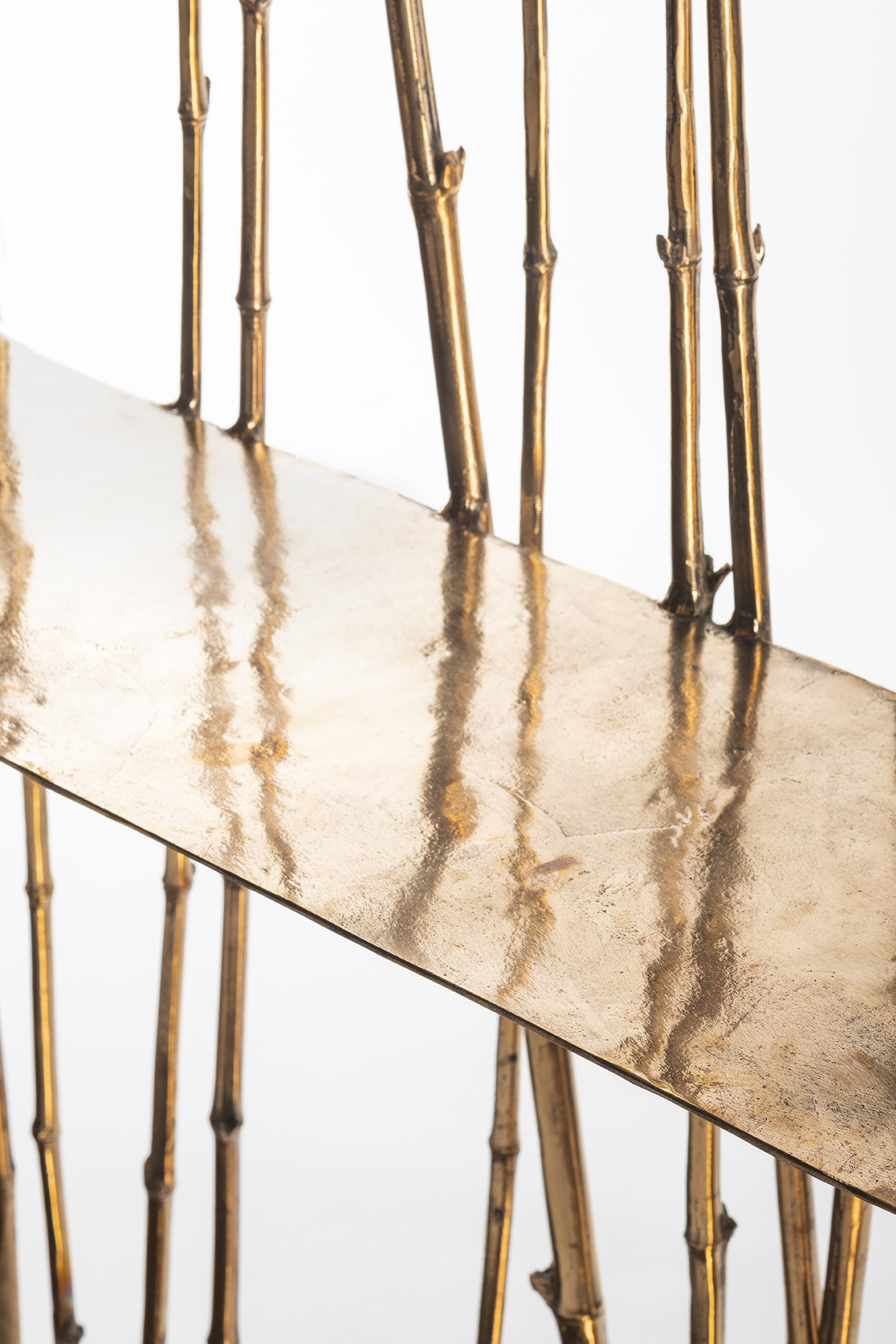 Osanna Visconti, Forest Library