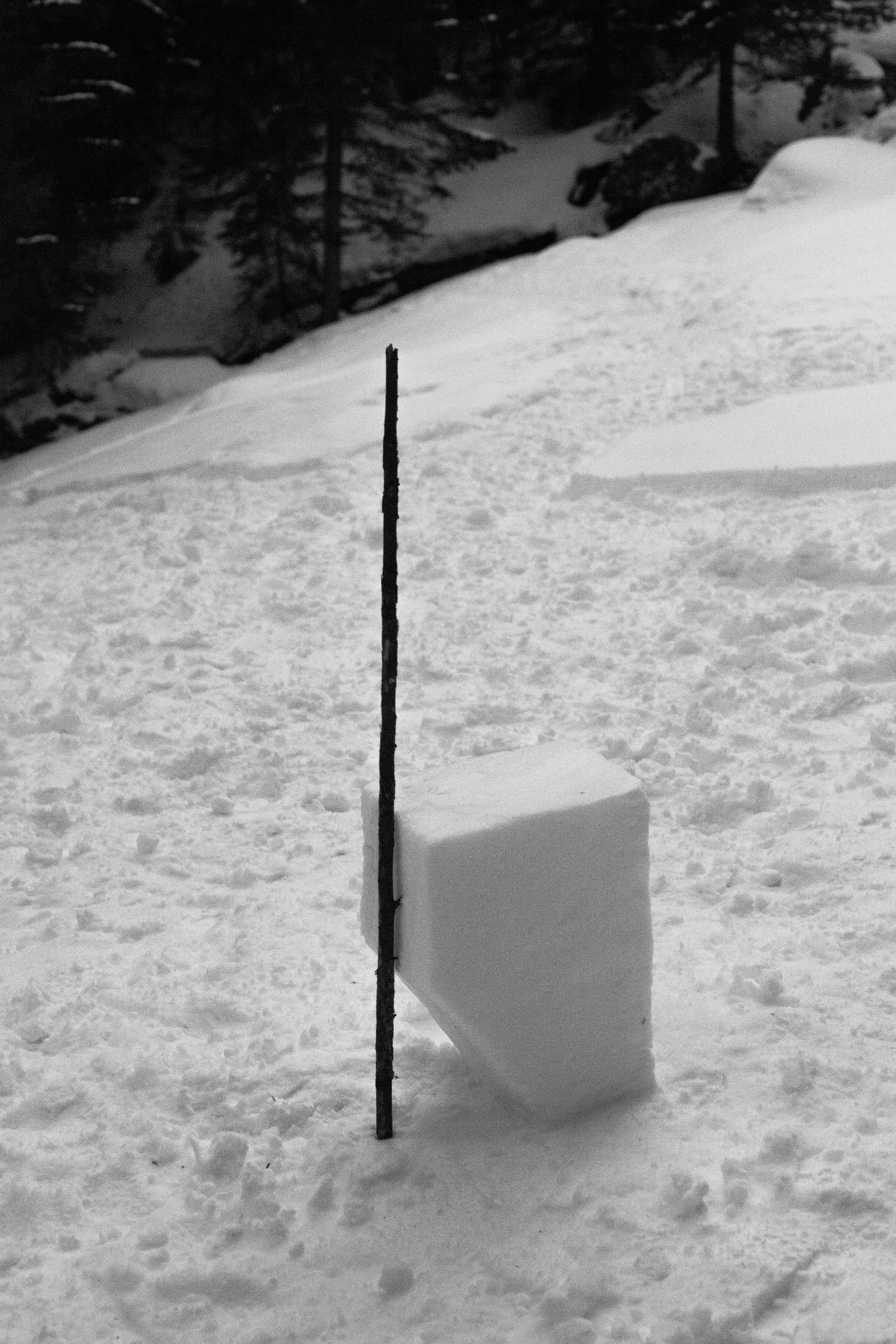 Quand fondra la neige, où ira le blanc ? Chamonix, 2020