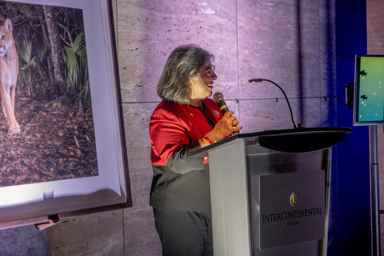 Mayor of Miami-Dade County, Danielle Levine Cava speaks at the reception for the unveiling of Carlos Betancourt’s Into the Everglades at the InterContinental Hotel.