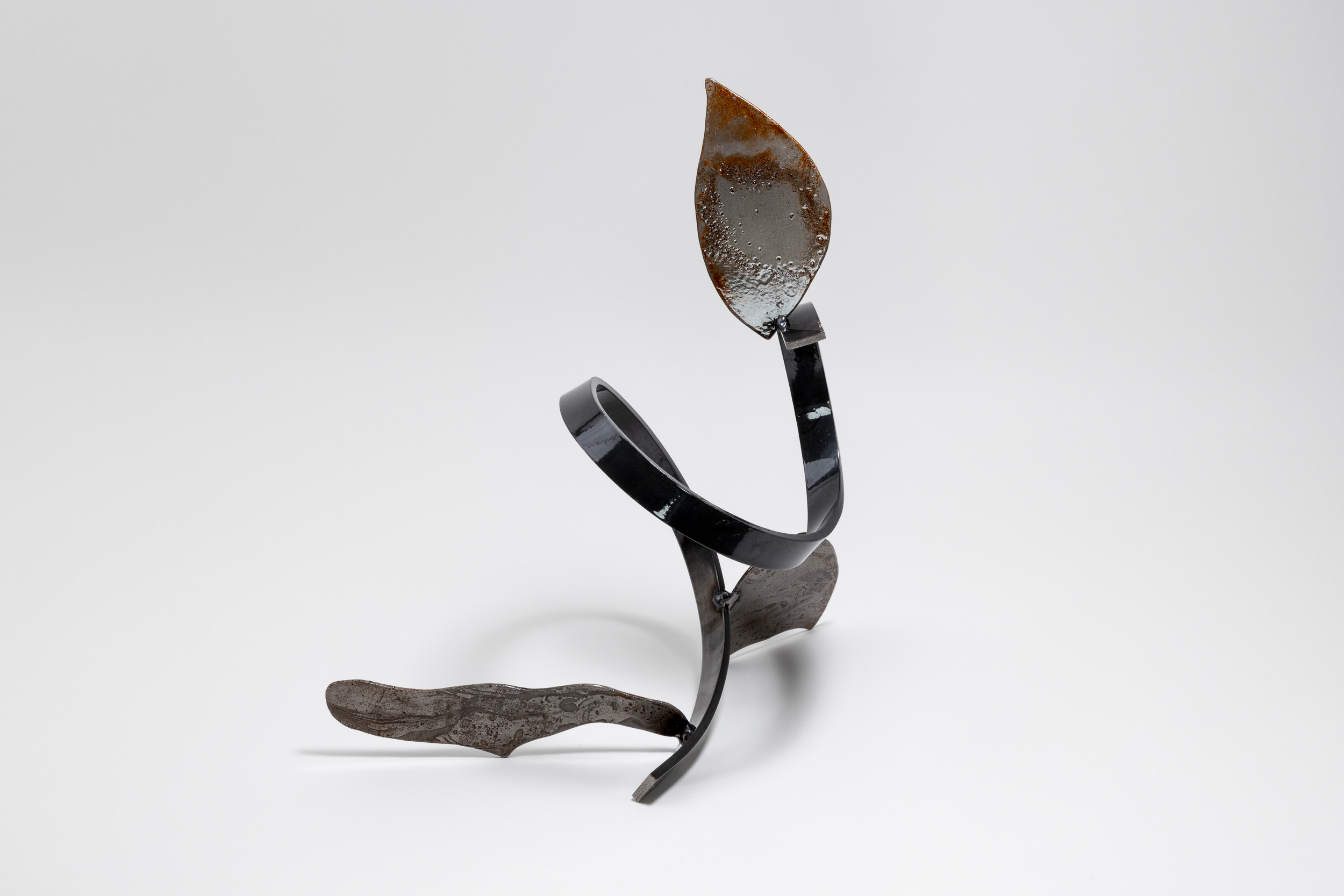 Xenophora 8/13, 35.5 x 29 x 23cm
