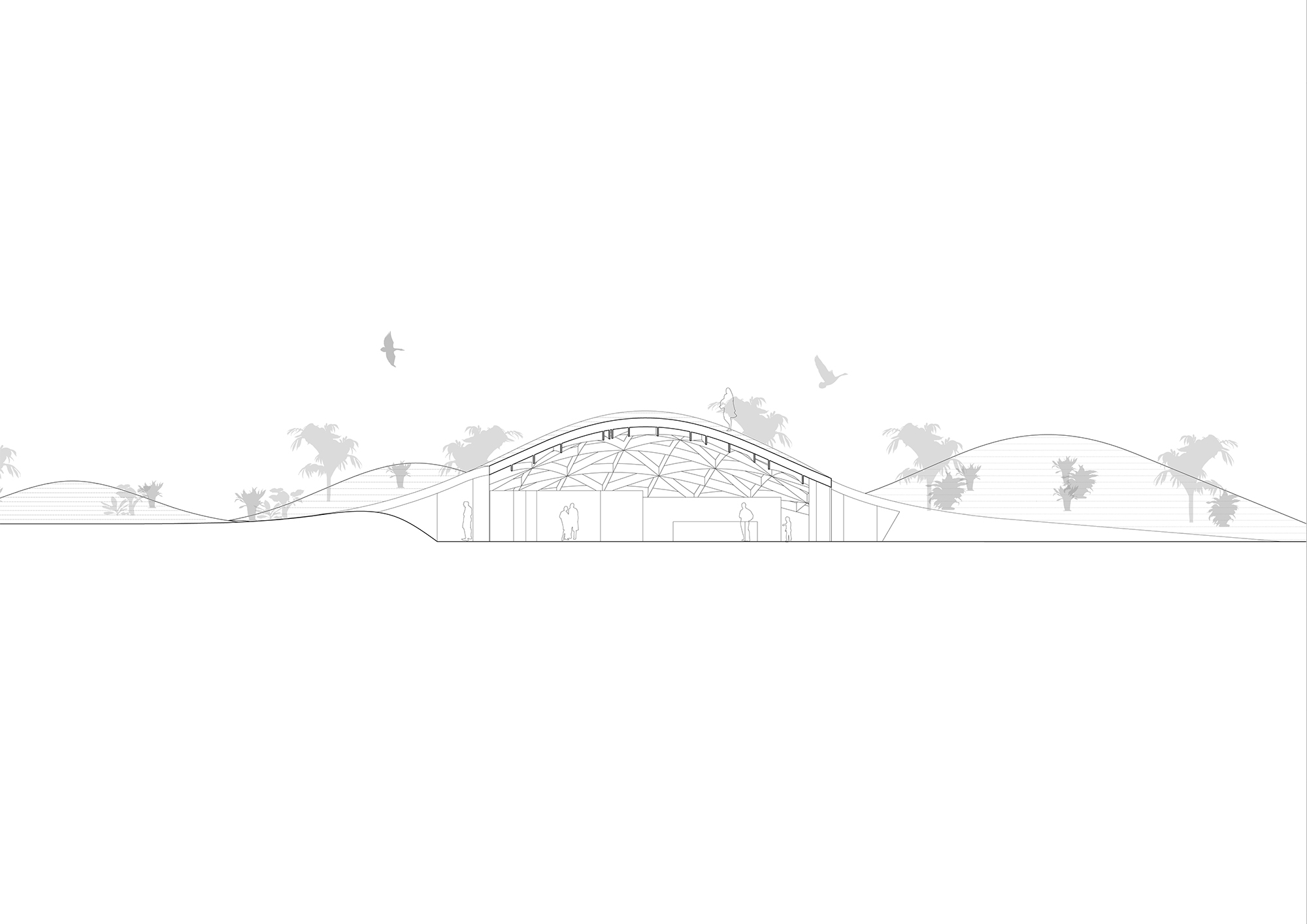 The rib structure is facing downwards, visible to the visitors.