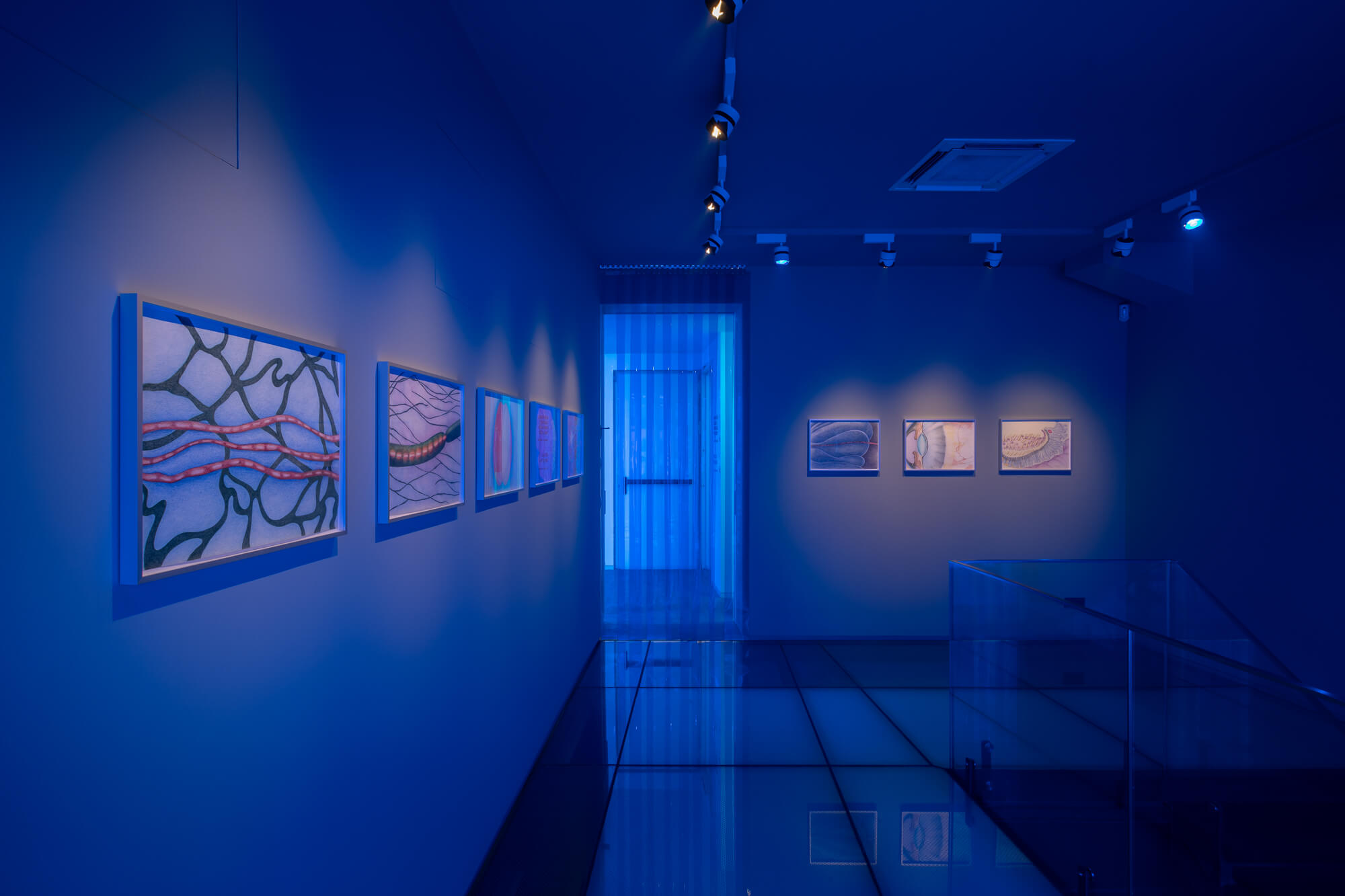 &ldquo;Diana Policarpo: Mutual Benefits&rdquo; installation view at Rialto 6. Photo: Vasco Stocker de Vilhena