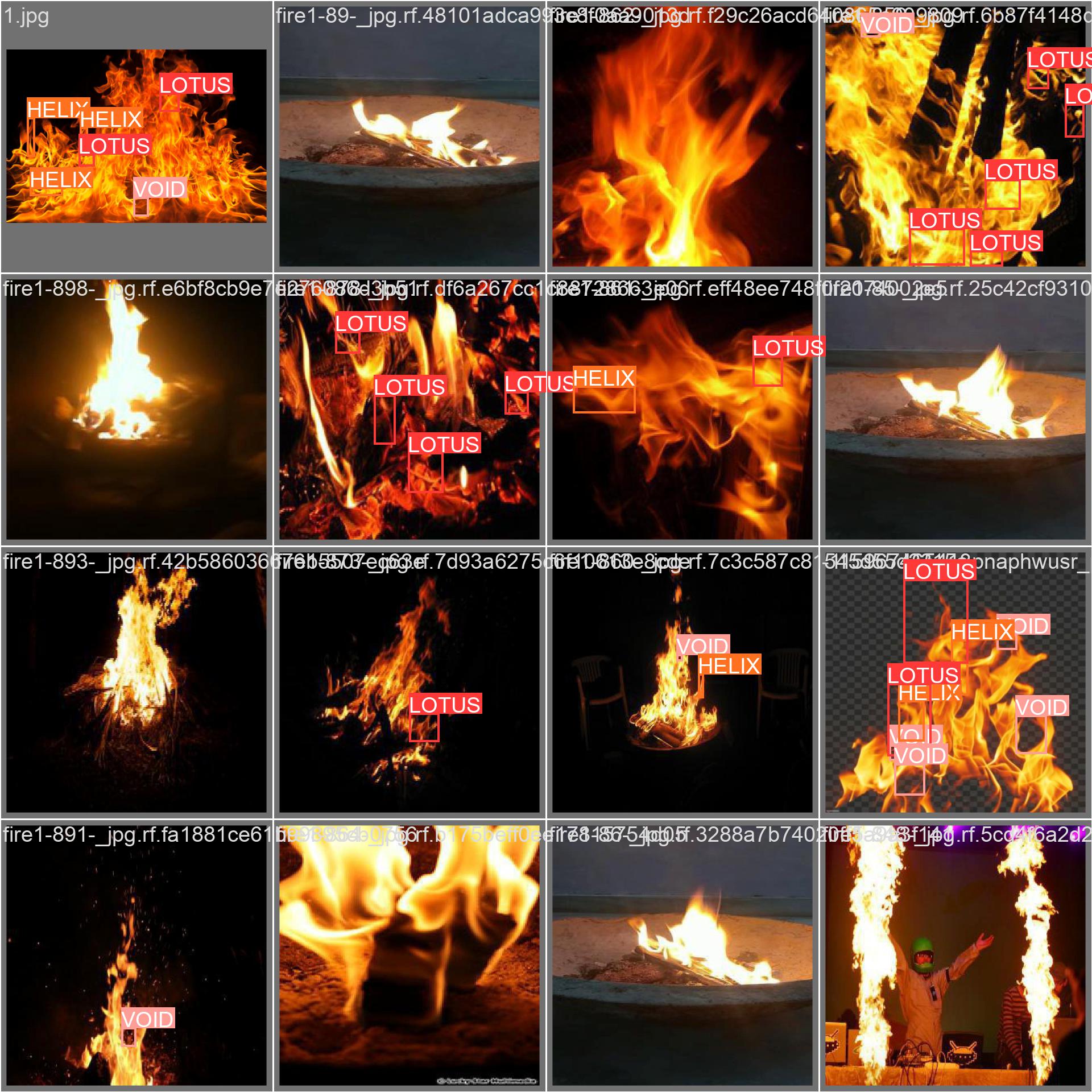 Training of the Algorithm