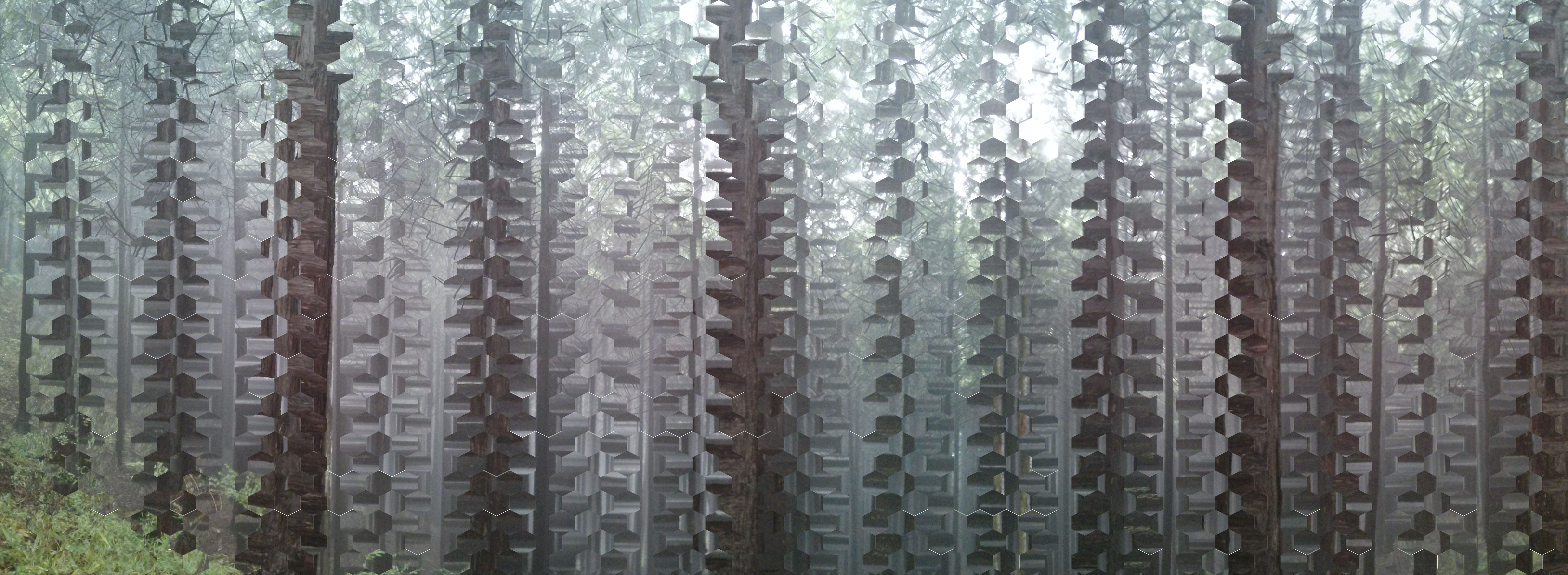 Verwirrungen | 2015 | digital file | rotated combs of a forrest