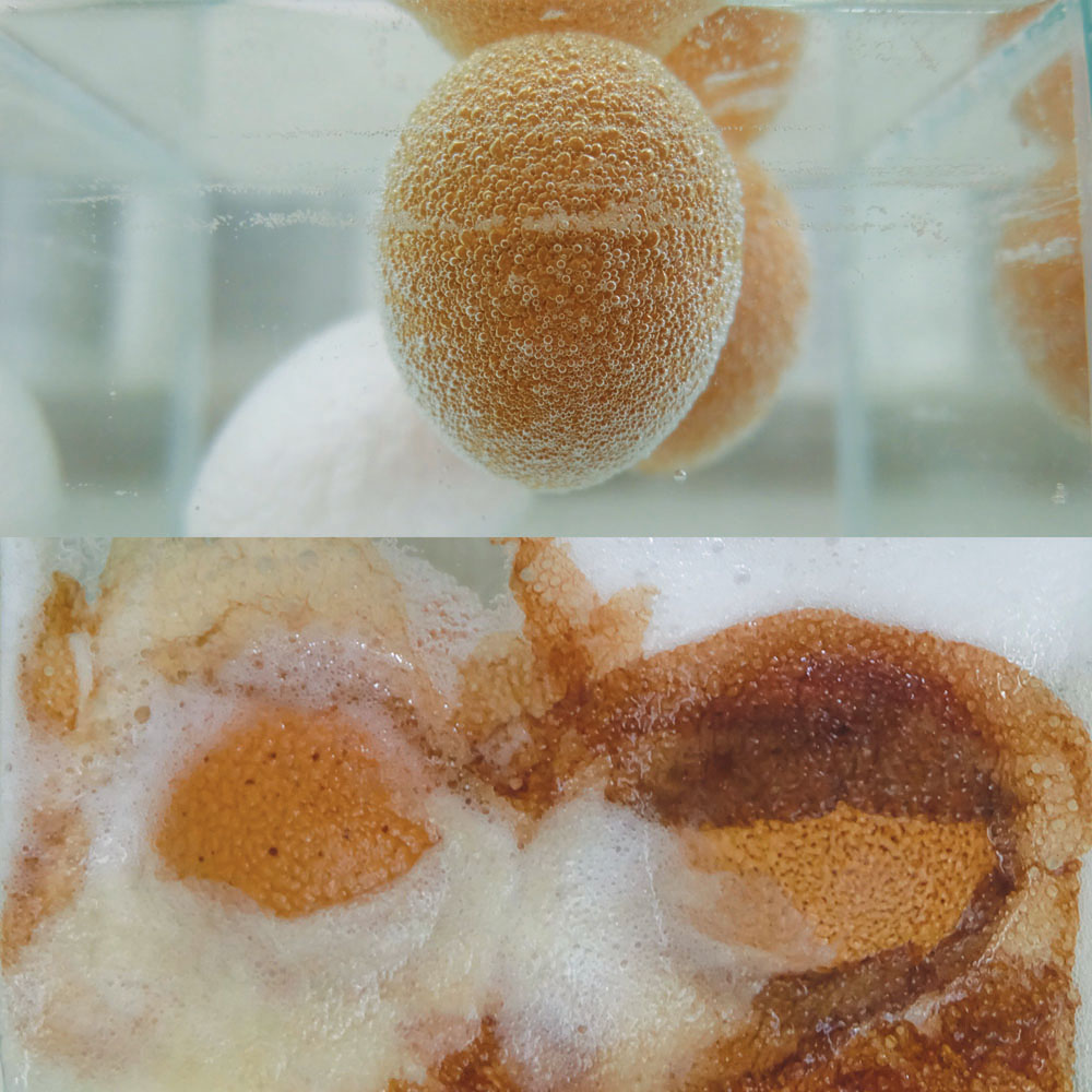 Kamonchanok Wongwiboonsat - Metaspeculations